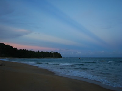 A serene beach scene with palm trees lining the shore at dusk.