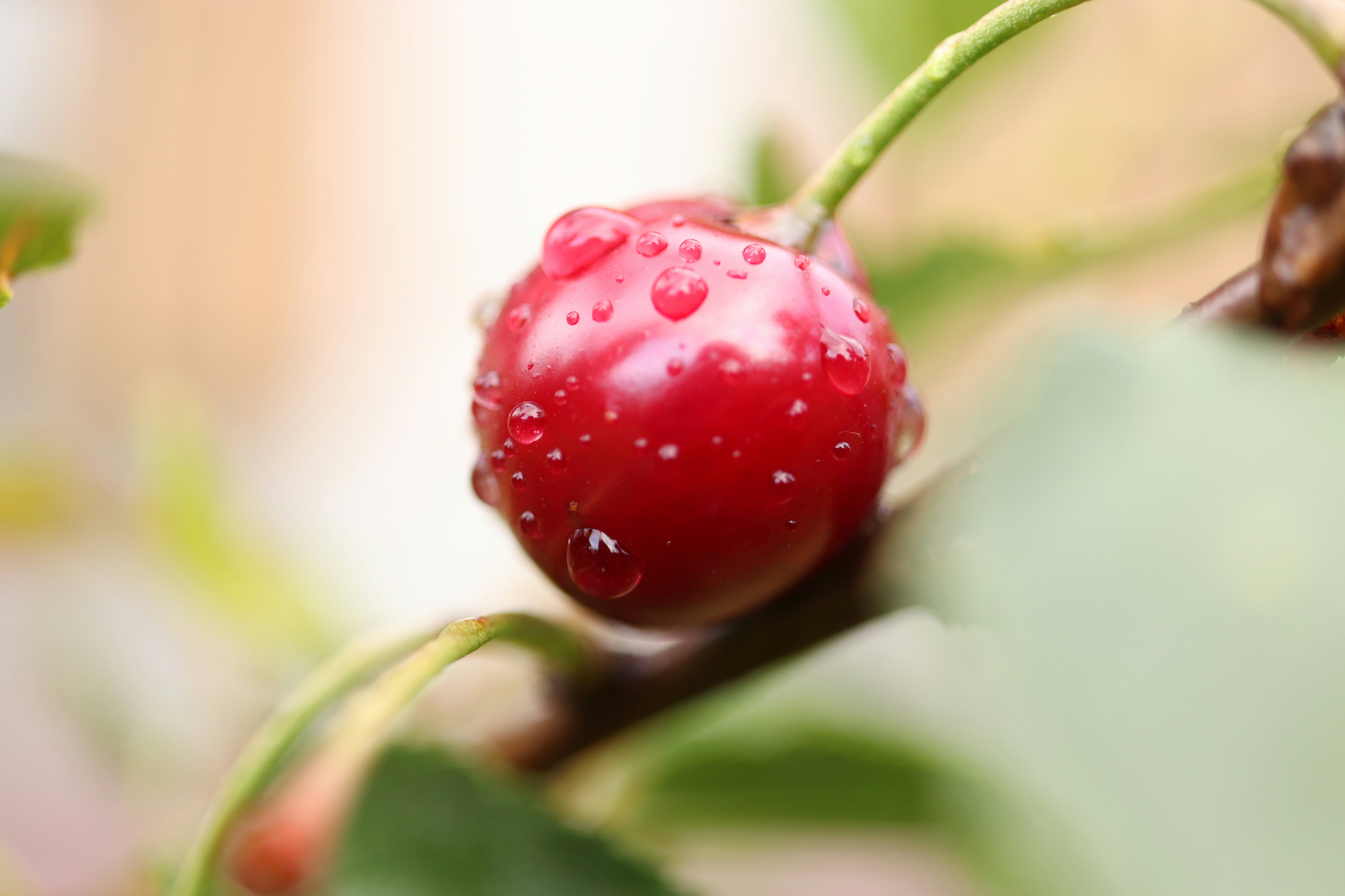 Photo by photos_linda