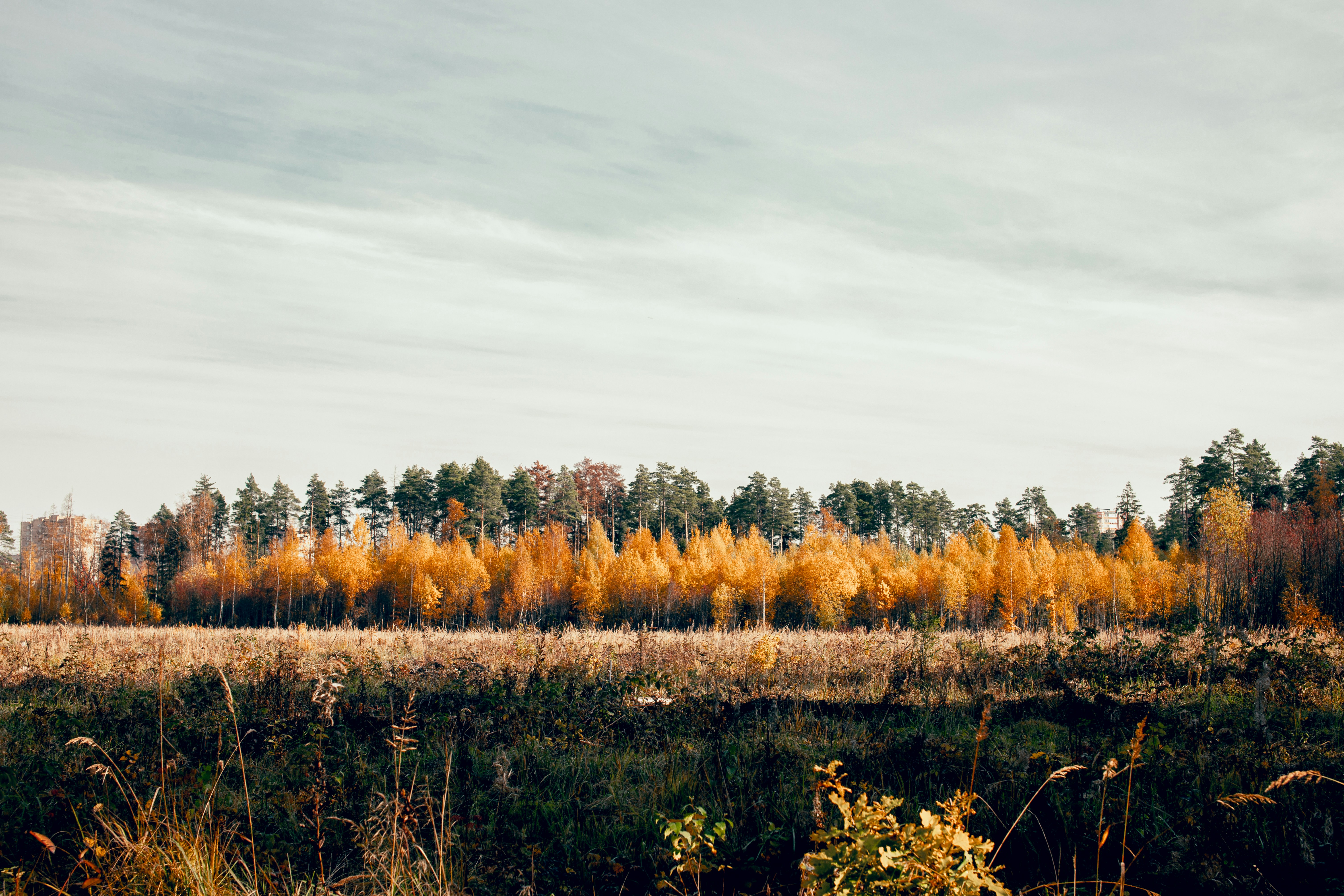 Photo by alex_photogram