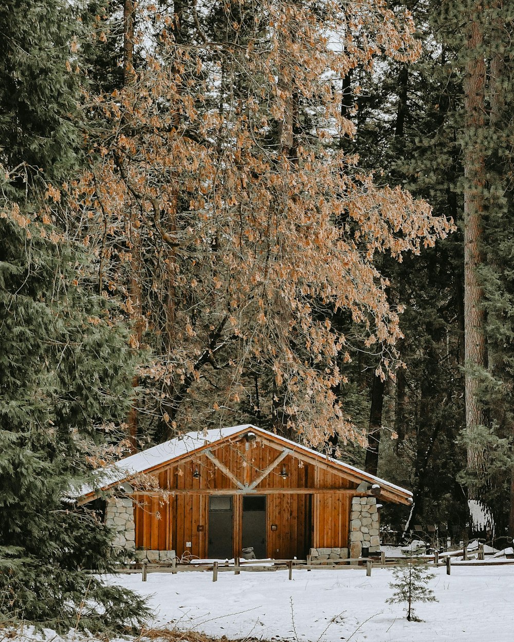 brown and white wooden house