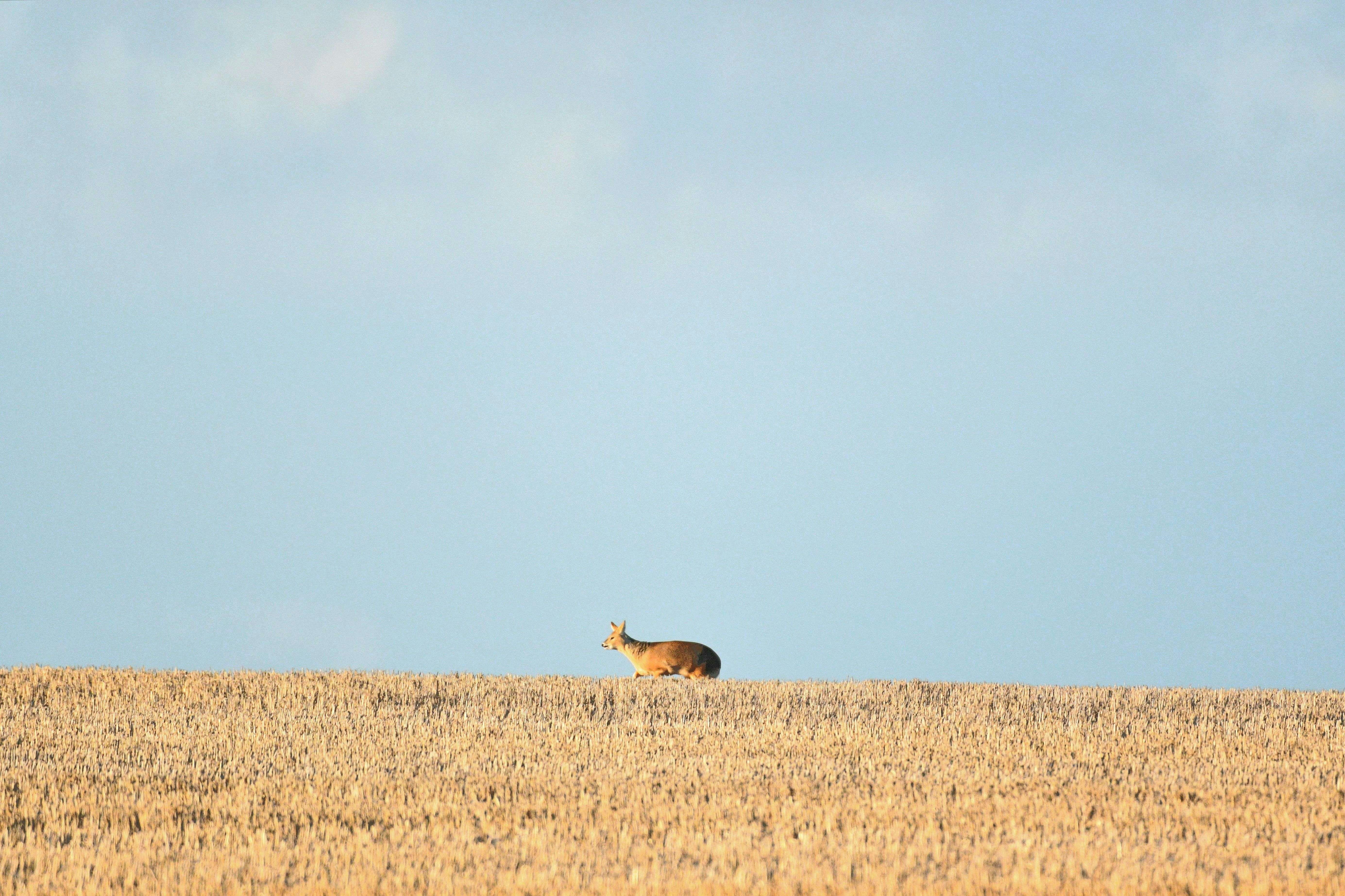 Photo by robyourduck