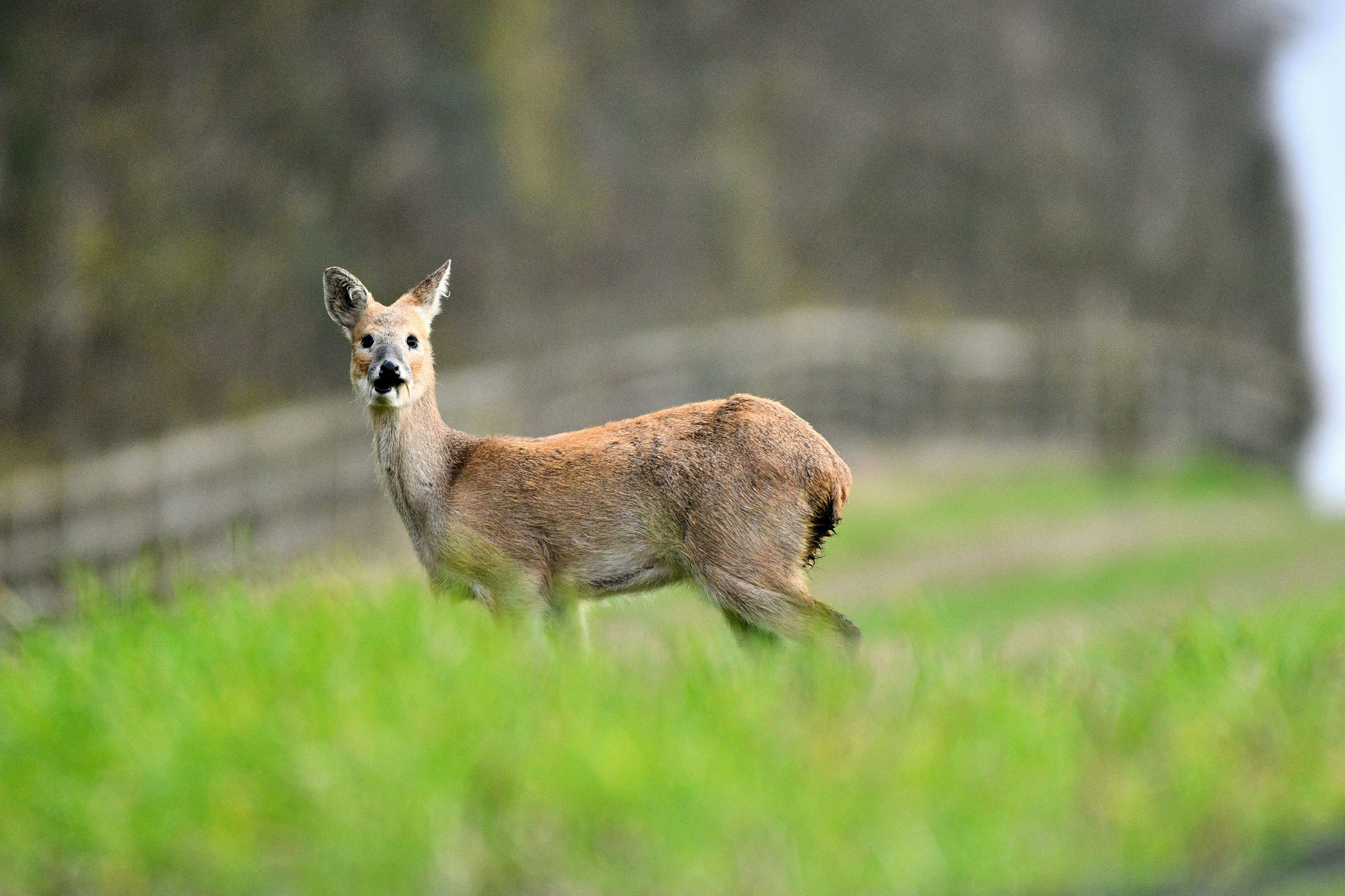 Photo by robyourduck