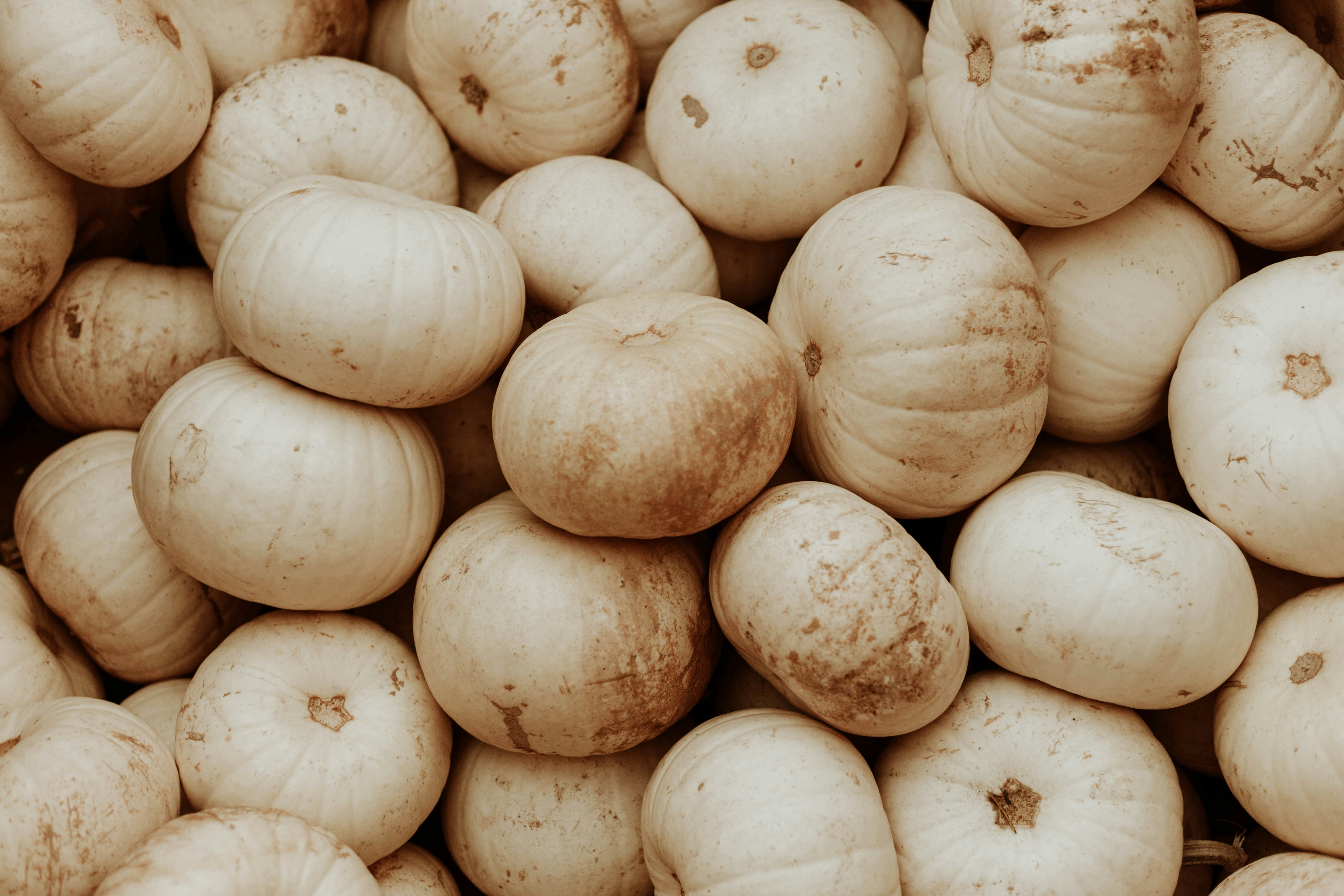 Photo by benignohoyuela