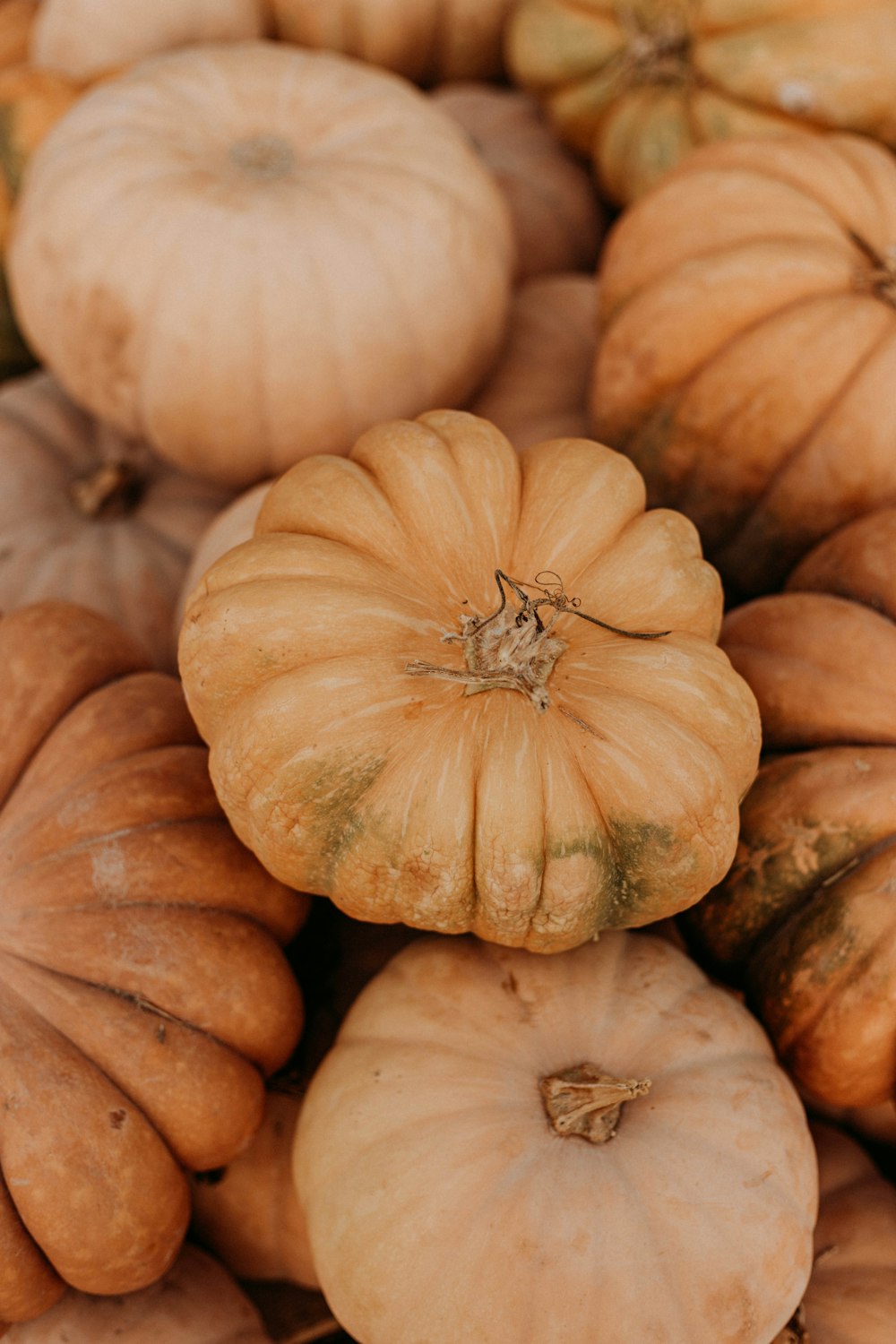 a pile of pumpkins sitting on top of each other