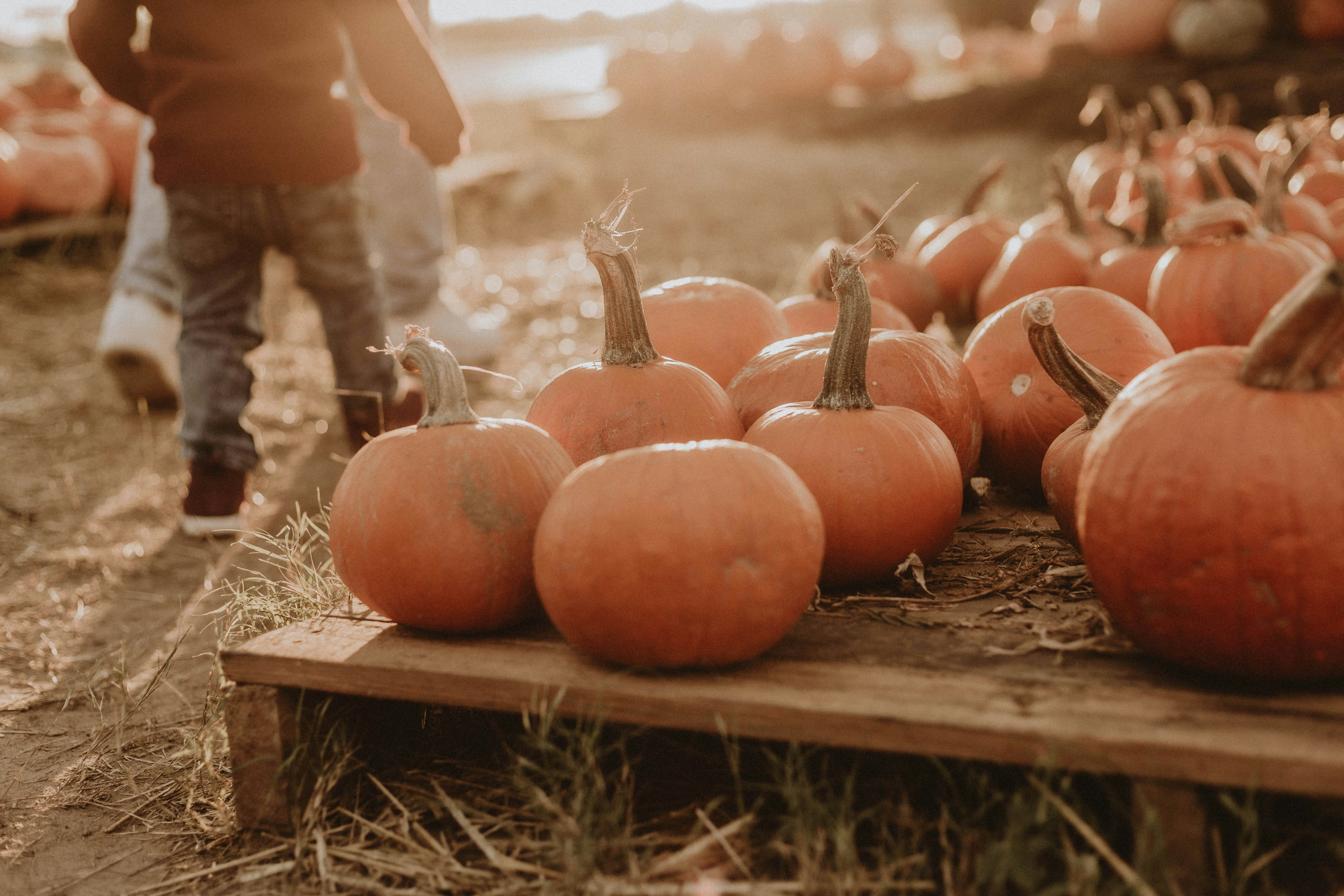 Photo by benignohoyuela