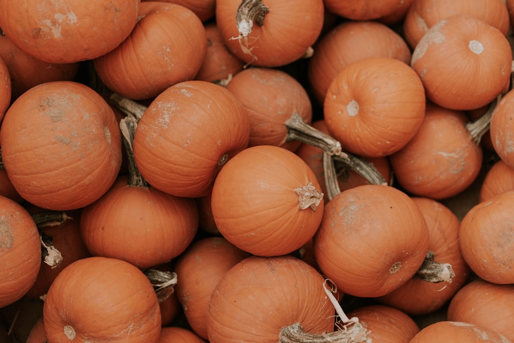 round orange pumpkin lot