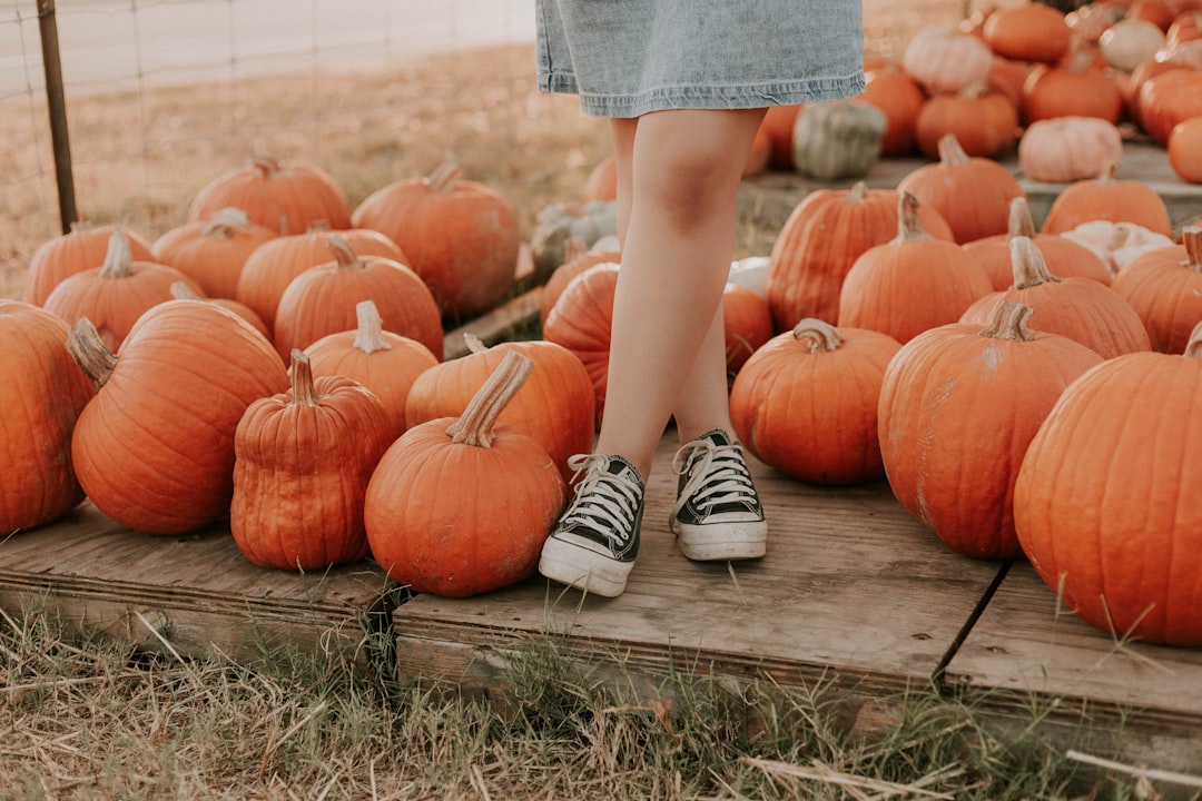 brown pumpkin