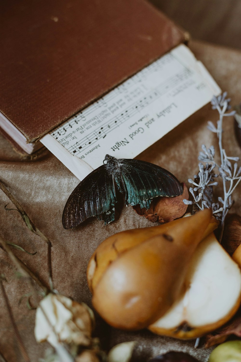 black and blue butterfly on brown textile