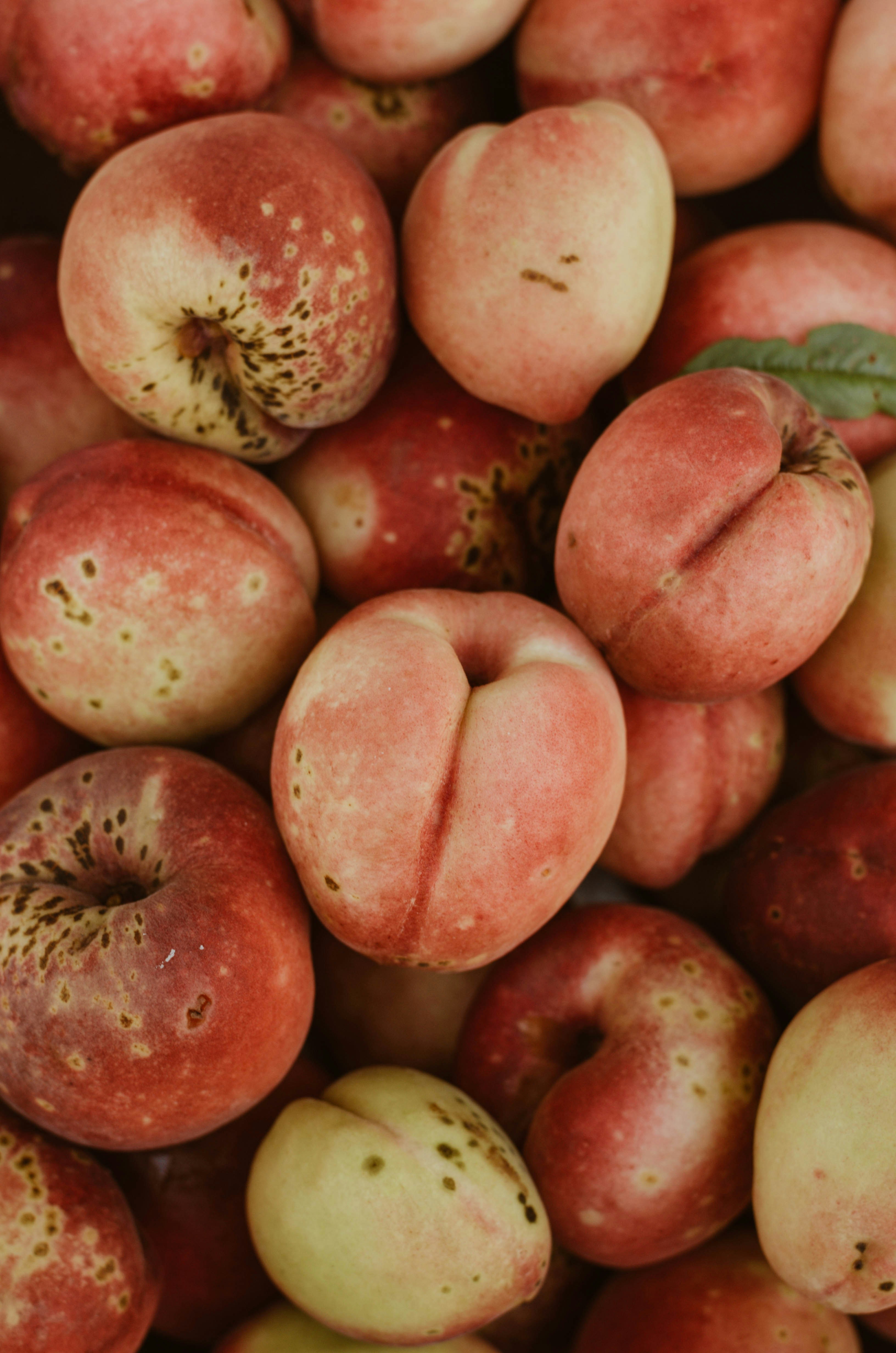 Photo by benignohoyuela