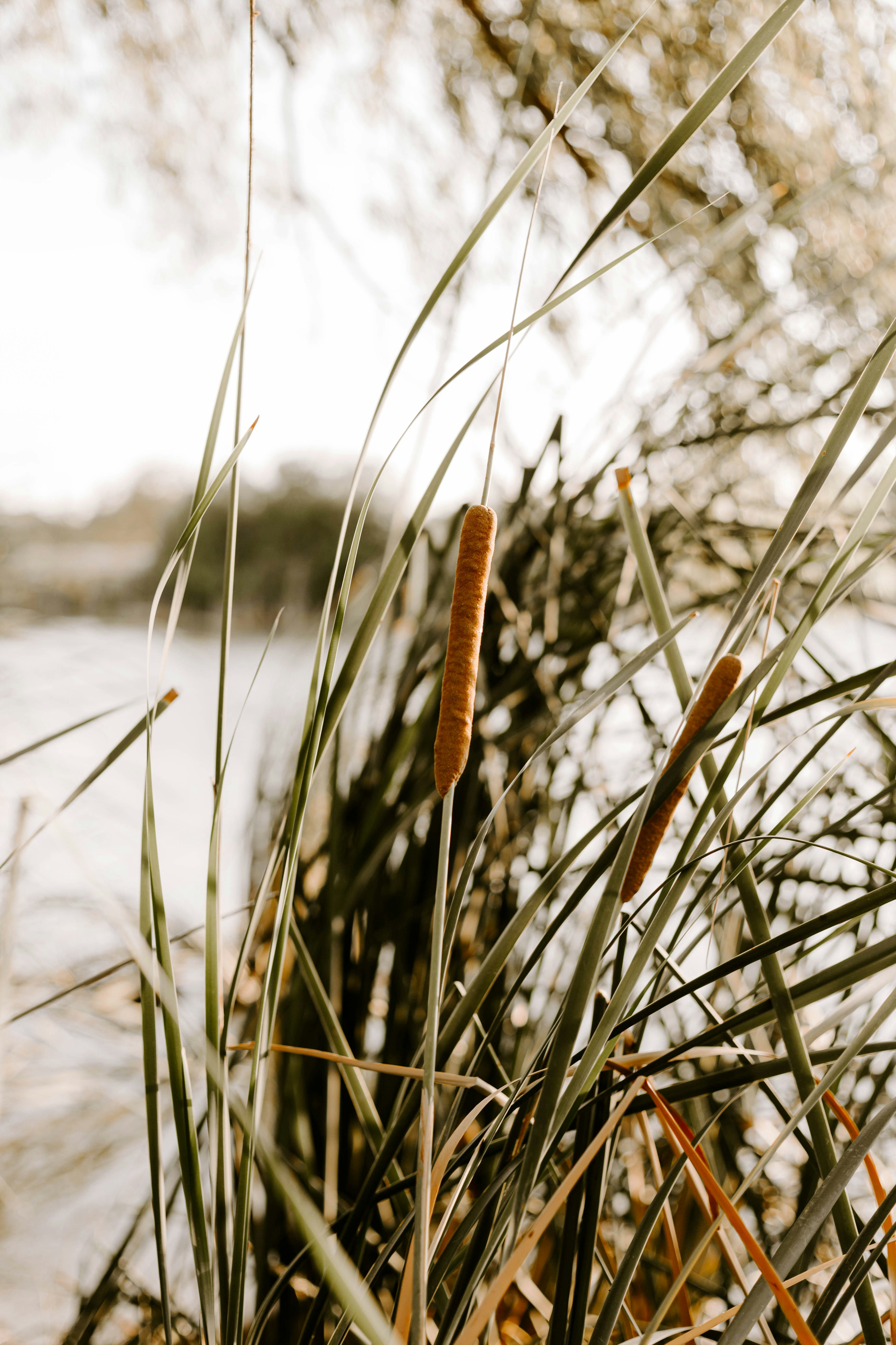 Photo by benignohoyuela