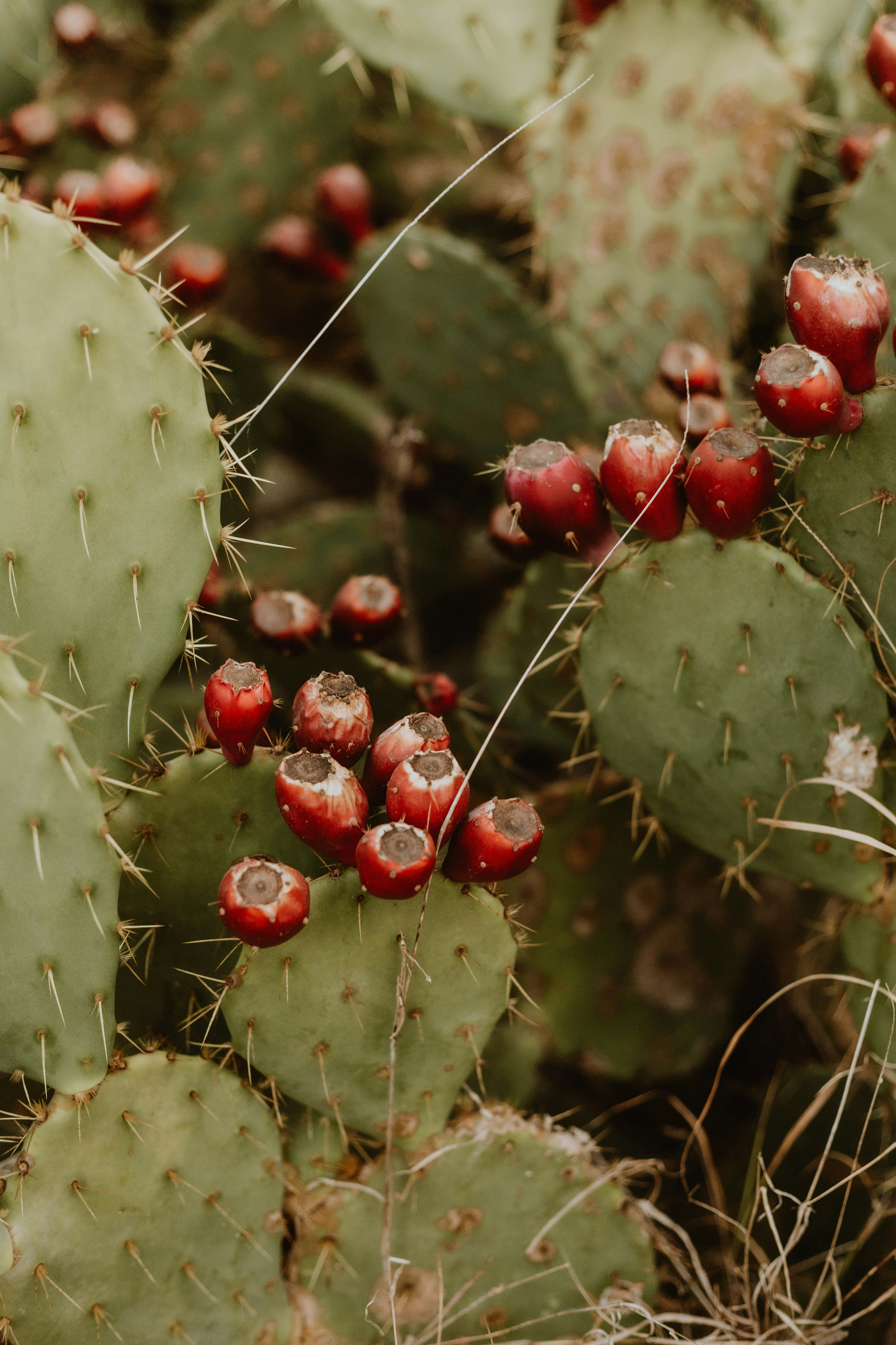 Photo by benignohoyuela