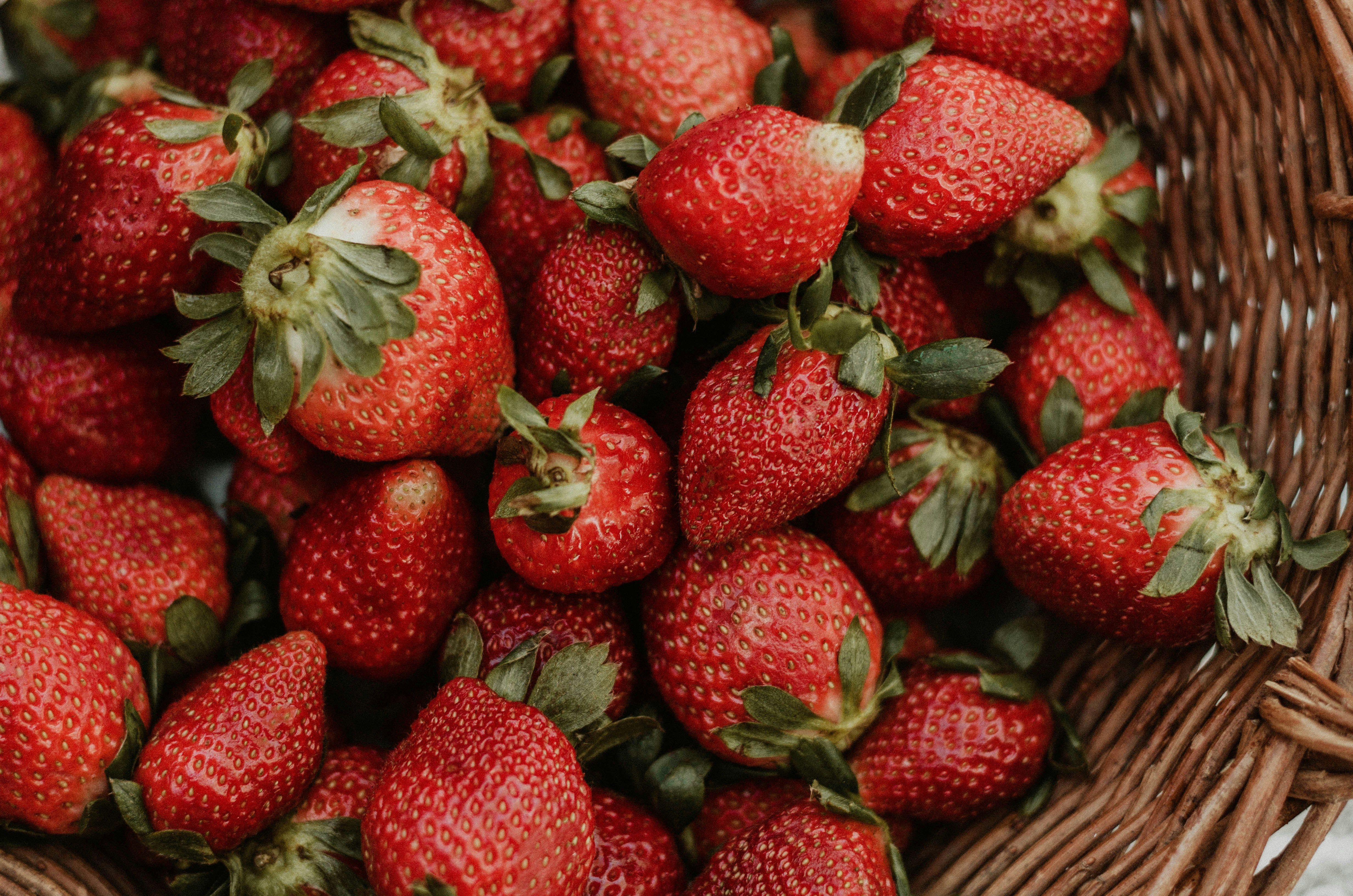 Photo by benignohoyuela