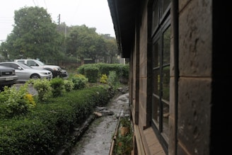 A side view of a building with stone walls and large windows. Alongside the building, there's a narrow water drainage channel lined with green bushes and plants. In the background, trees and several parked cars are visible, suggesting a rainy or overcast day.