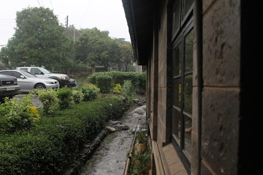 A side view of a building with stone walls and large windows. Alongside the building, there's a narrow water drainage channel lined with green bushes and plants. In the background, trees and several parked cars are visible, suggesting a rainy or overcast day.