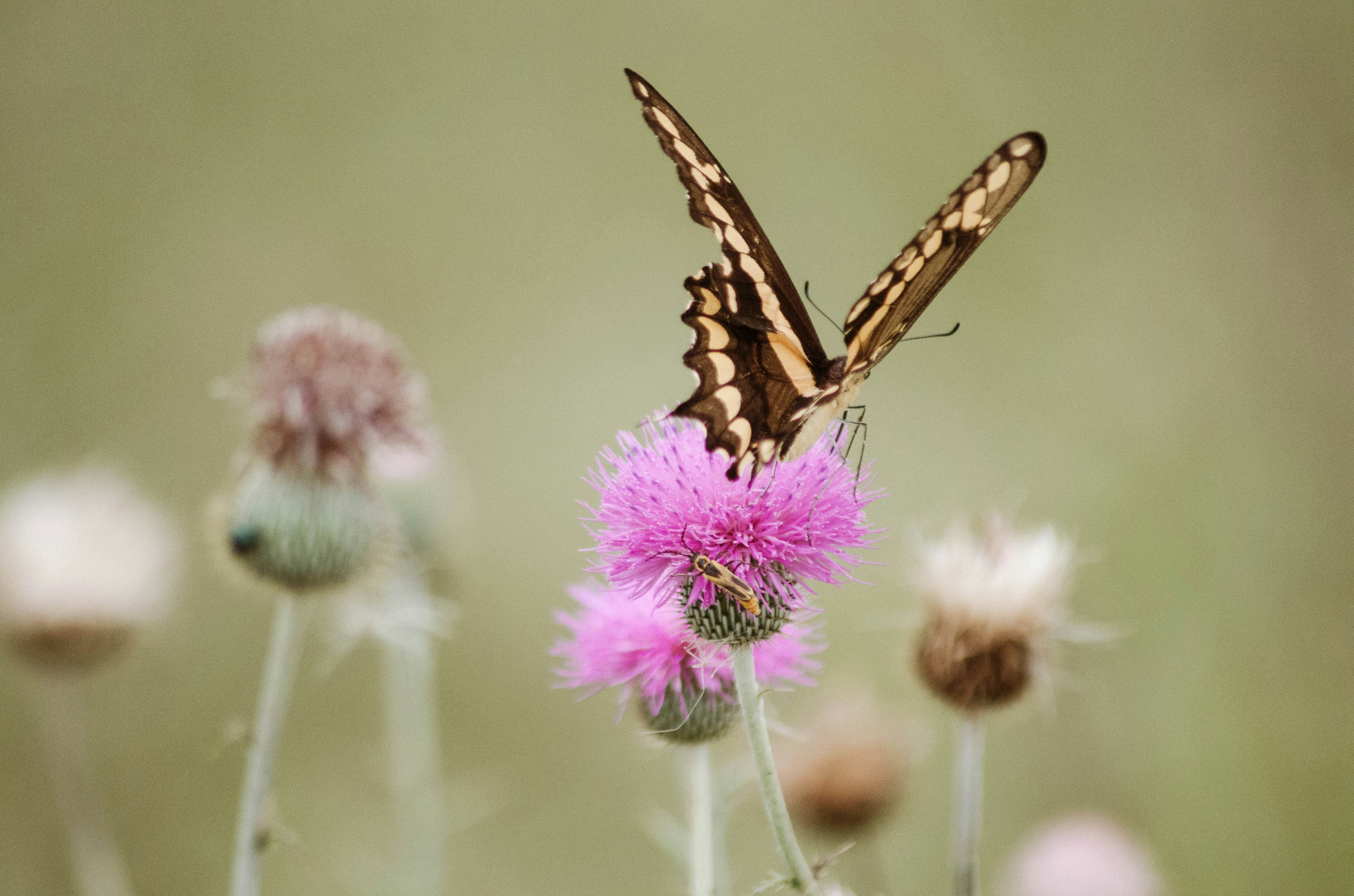 Photo by benignohoyuela