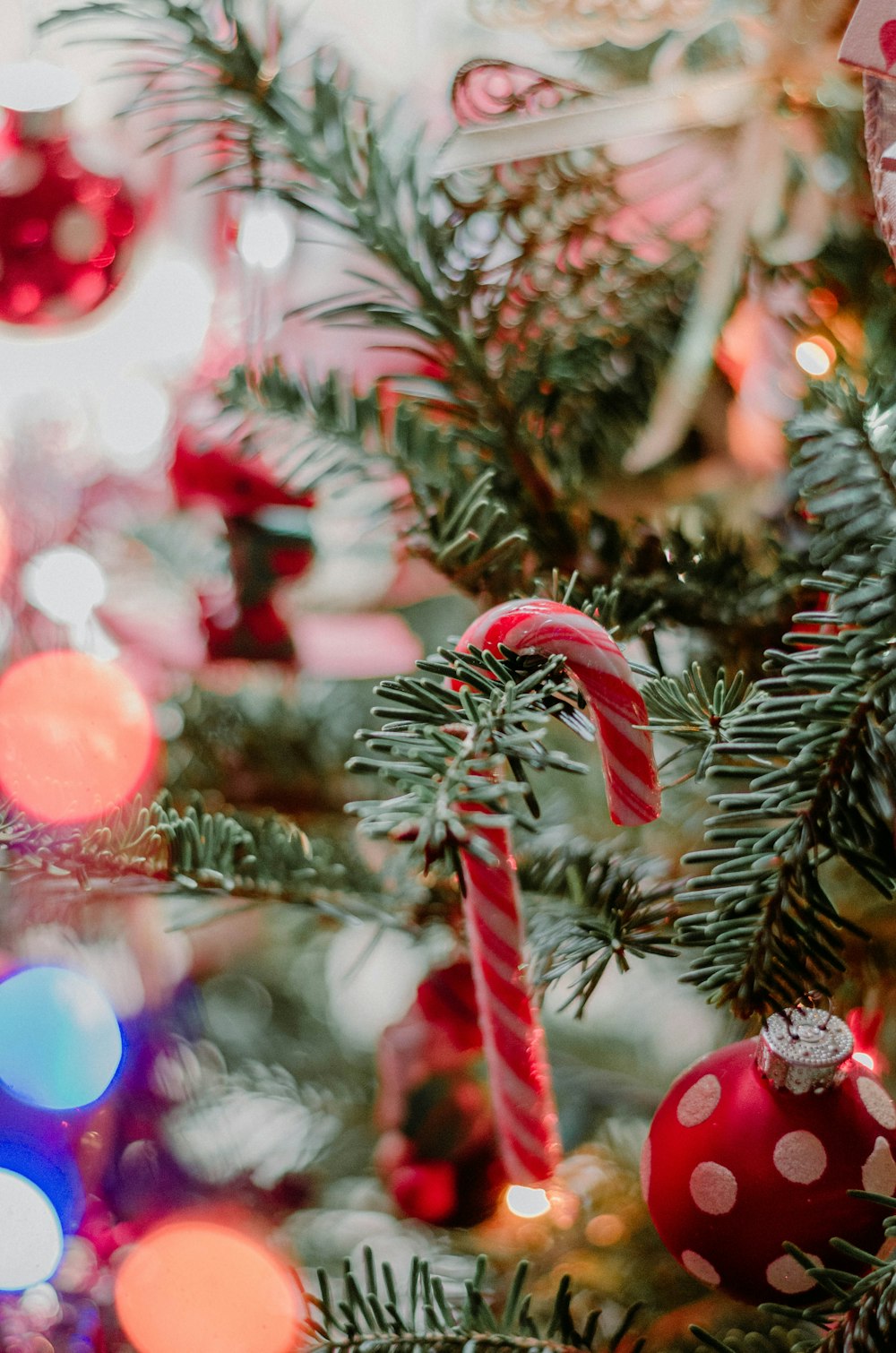 candy cane on Christmas tree