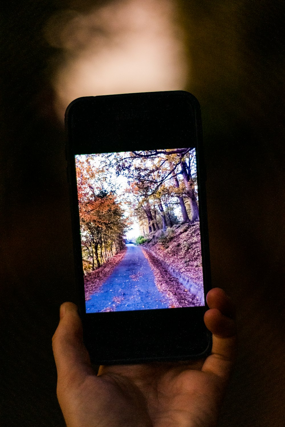 a person holding a cell phone with a picture on it