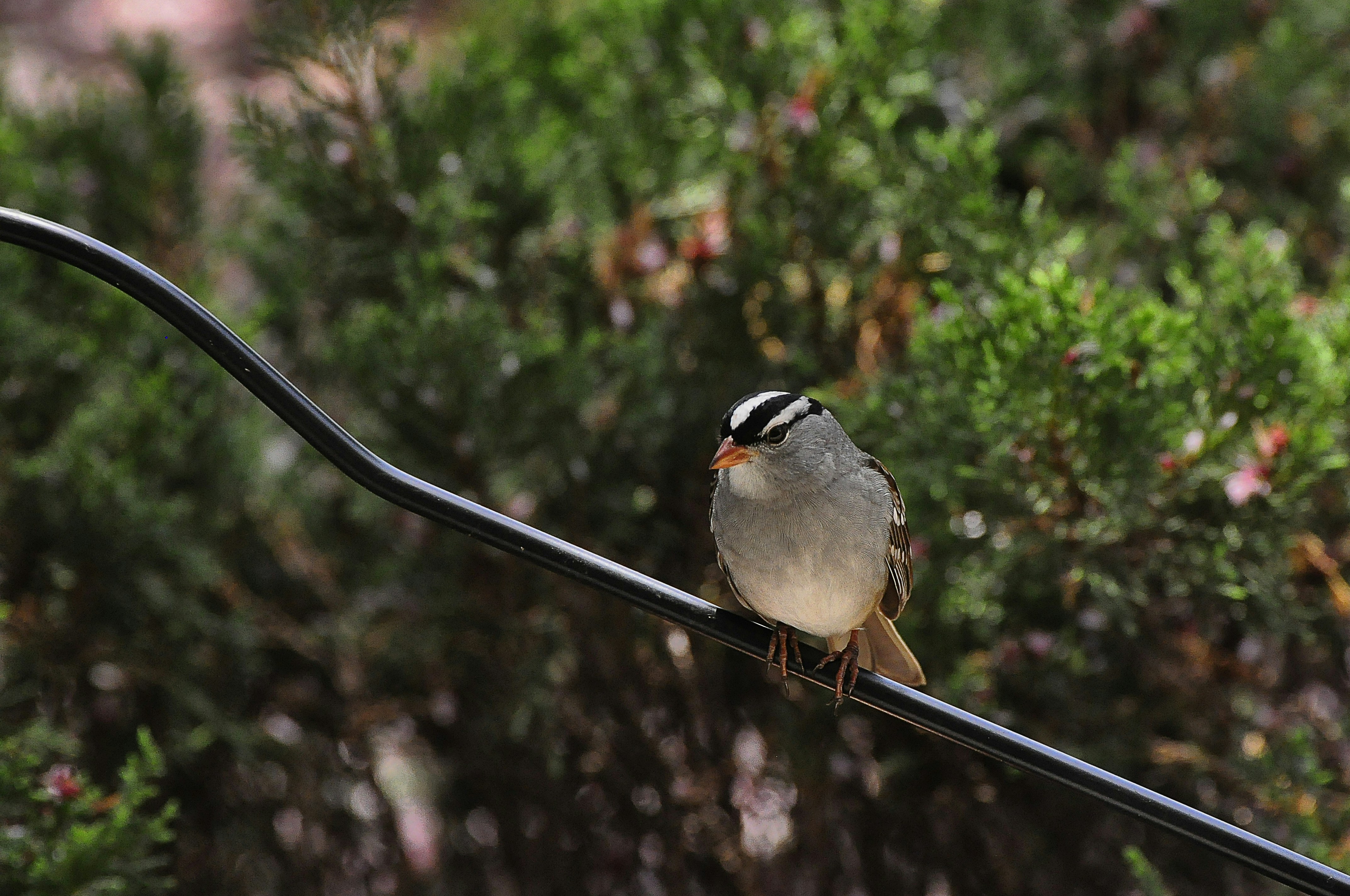 When Consensus Kills Progress