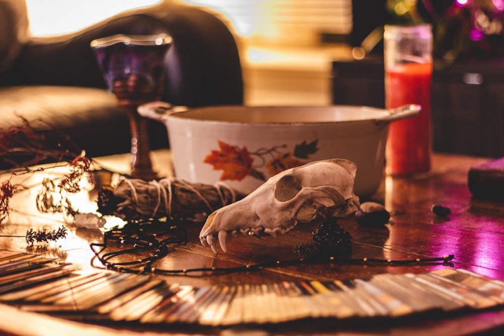 white animal skull head near round white and red floral casserole on wooden coffee table