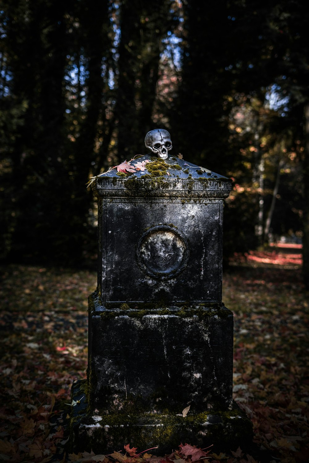 gray tombstone on green field surrounded with green trees