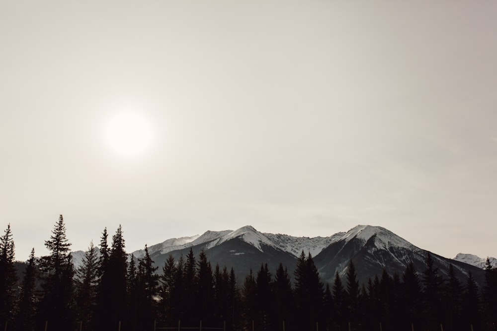 grayscale photography of mountain