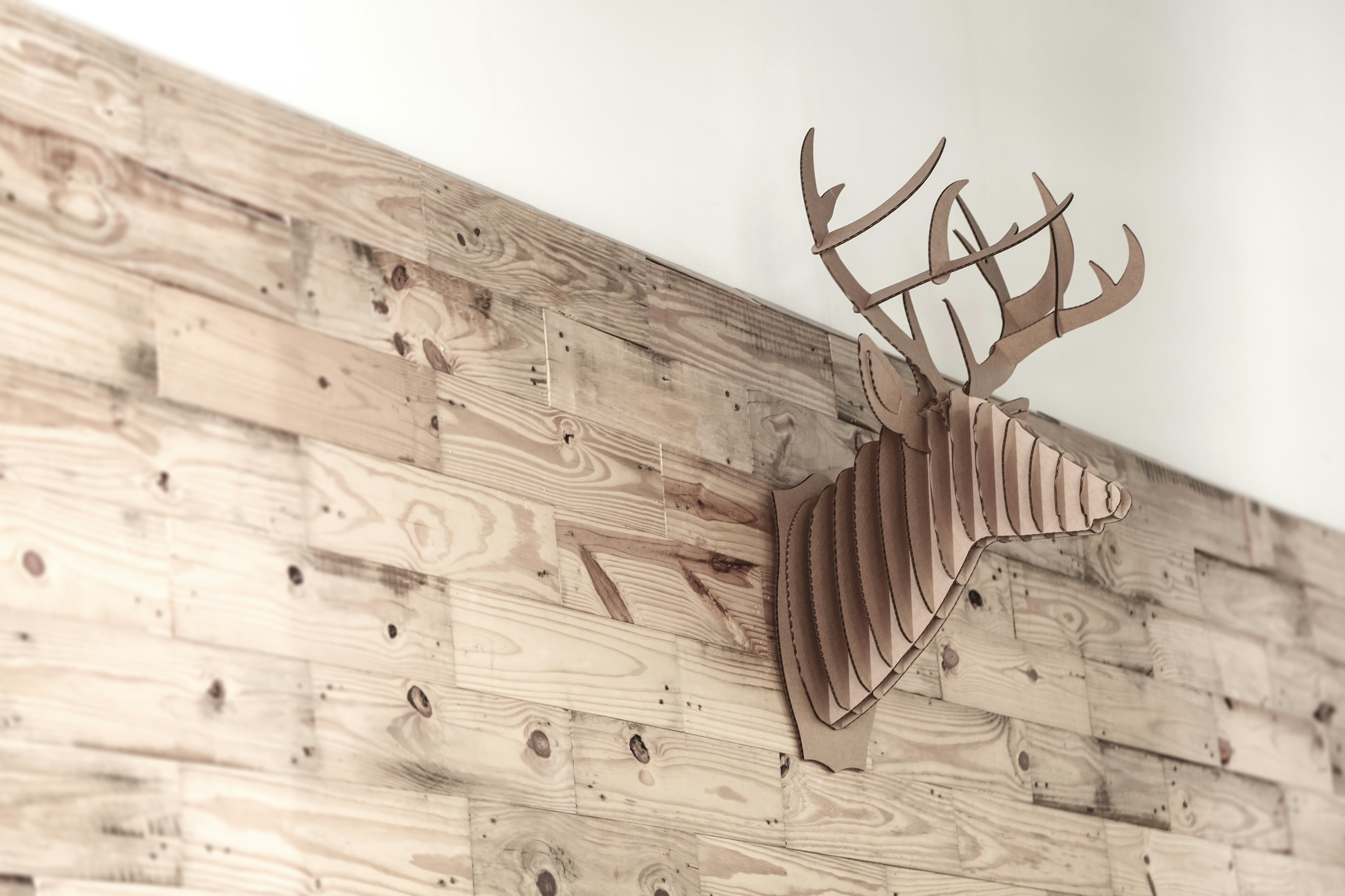 Photo by eduardocanophotoco