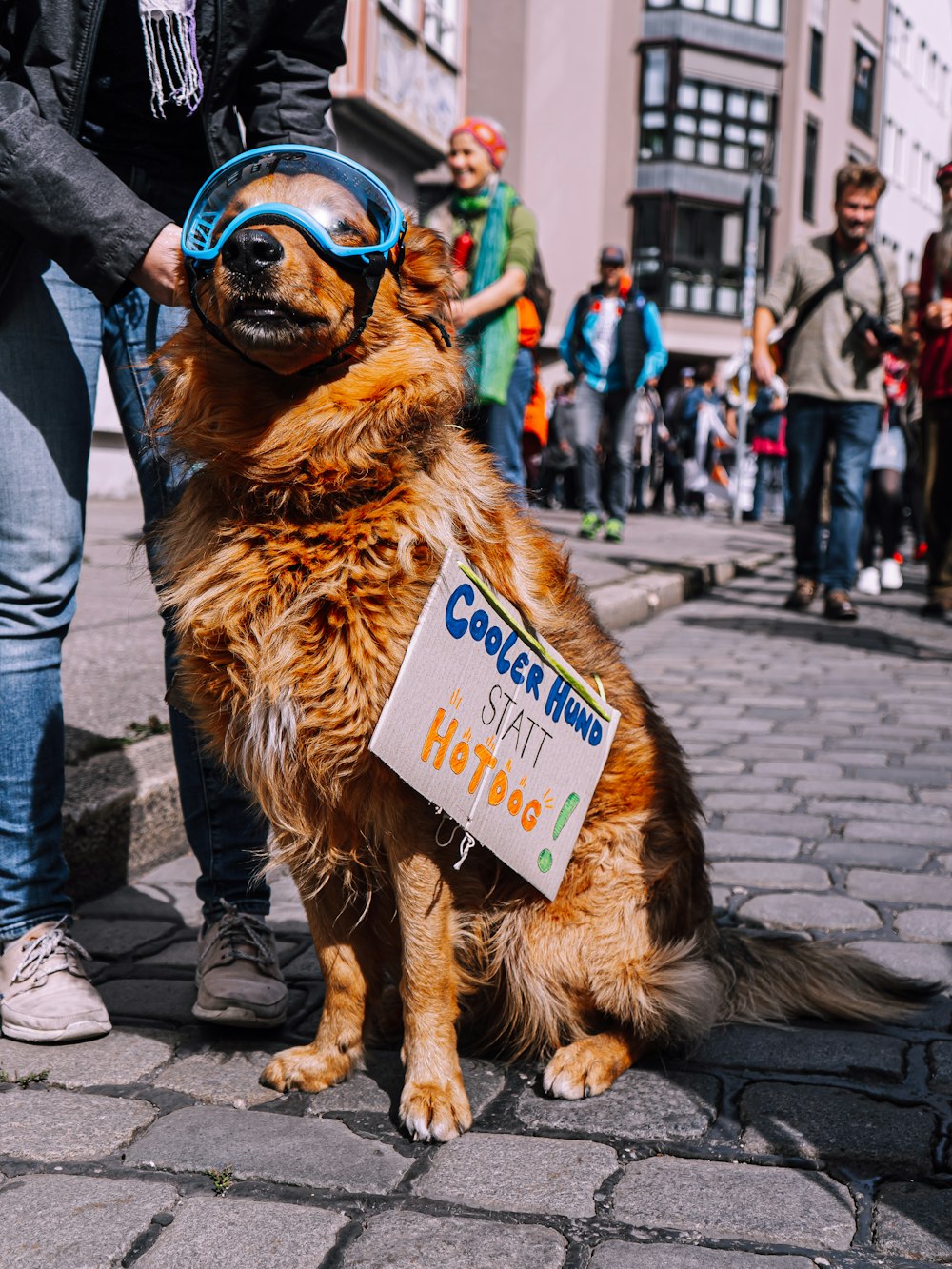 person holding sitting dog during daytime