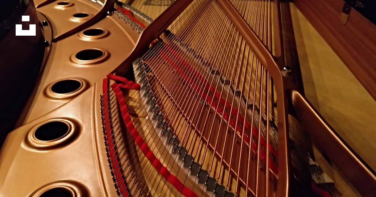 Closeup photo of string instrument photo – Free Brown Image on Unsplash