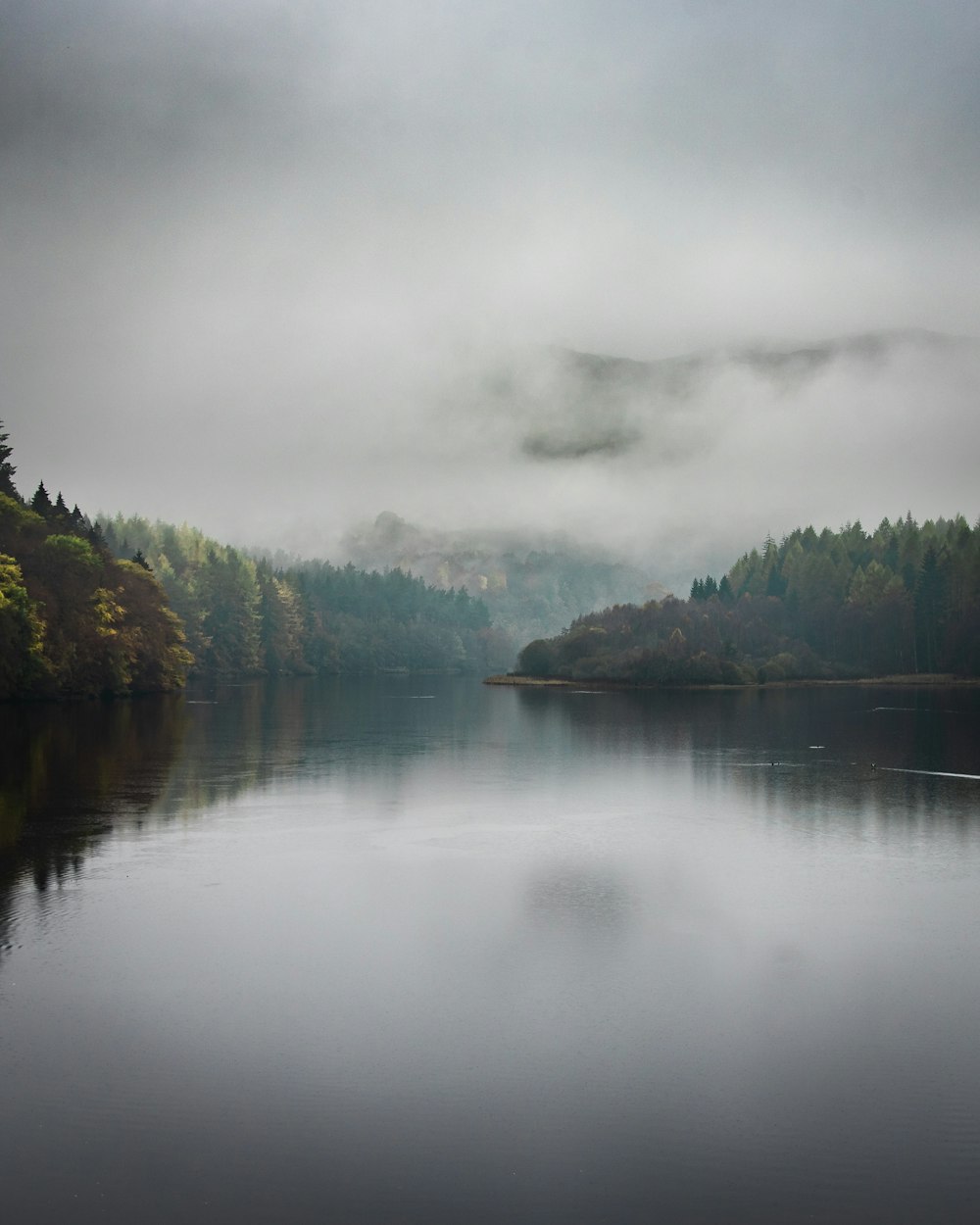 body of water surrounded with green trees viewing mountain ion foggy day