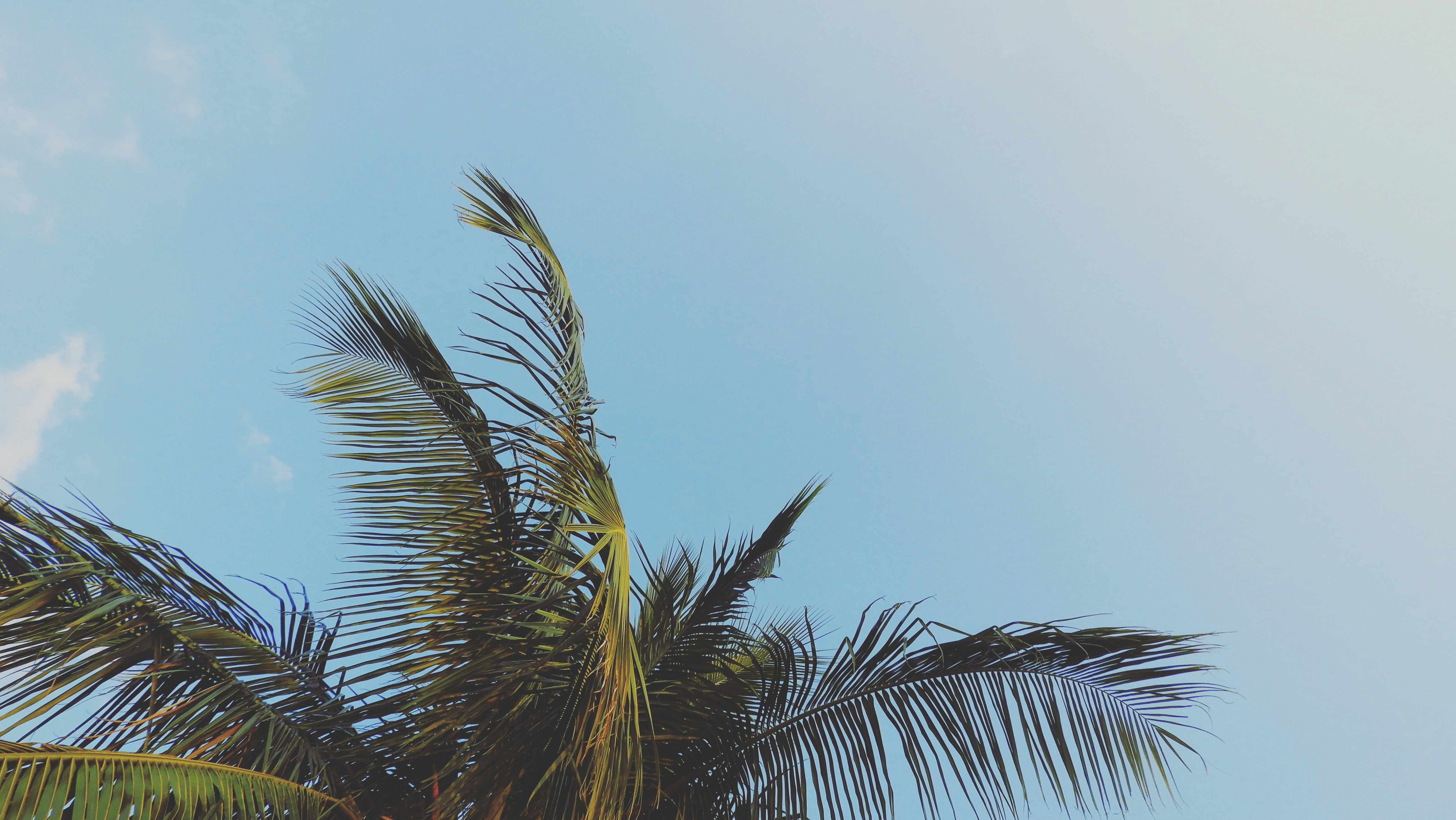 Photo by jaikarpothula007