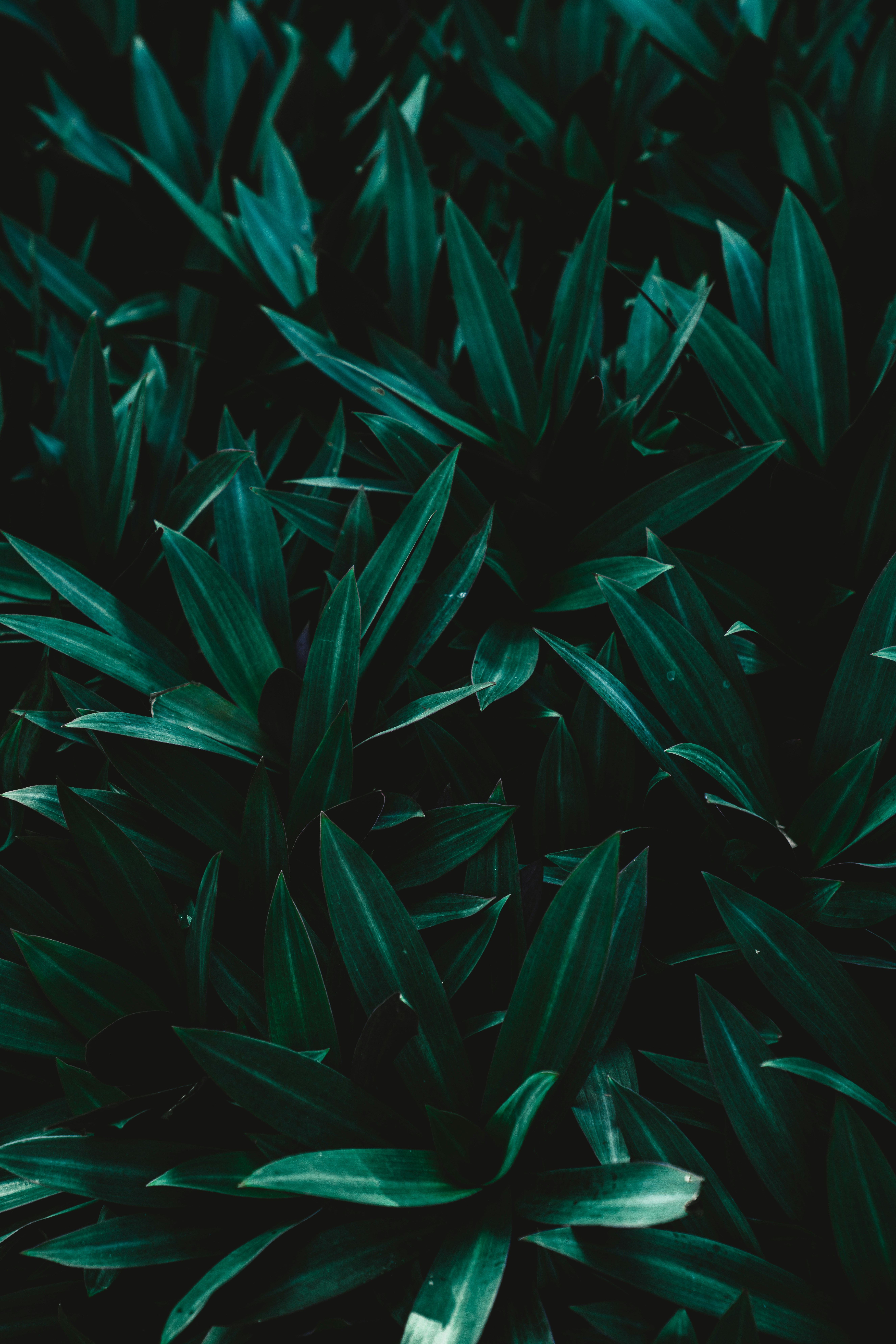 Photo by merittthomas