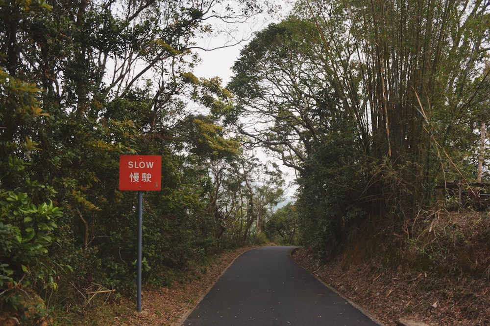 gray road surrounded with green trees with slow road sign