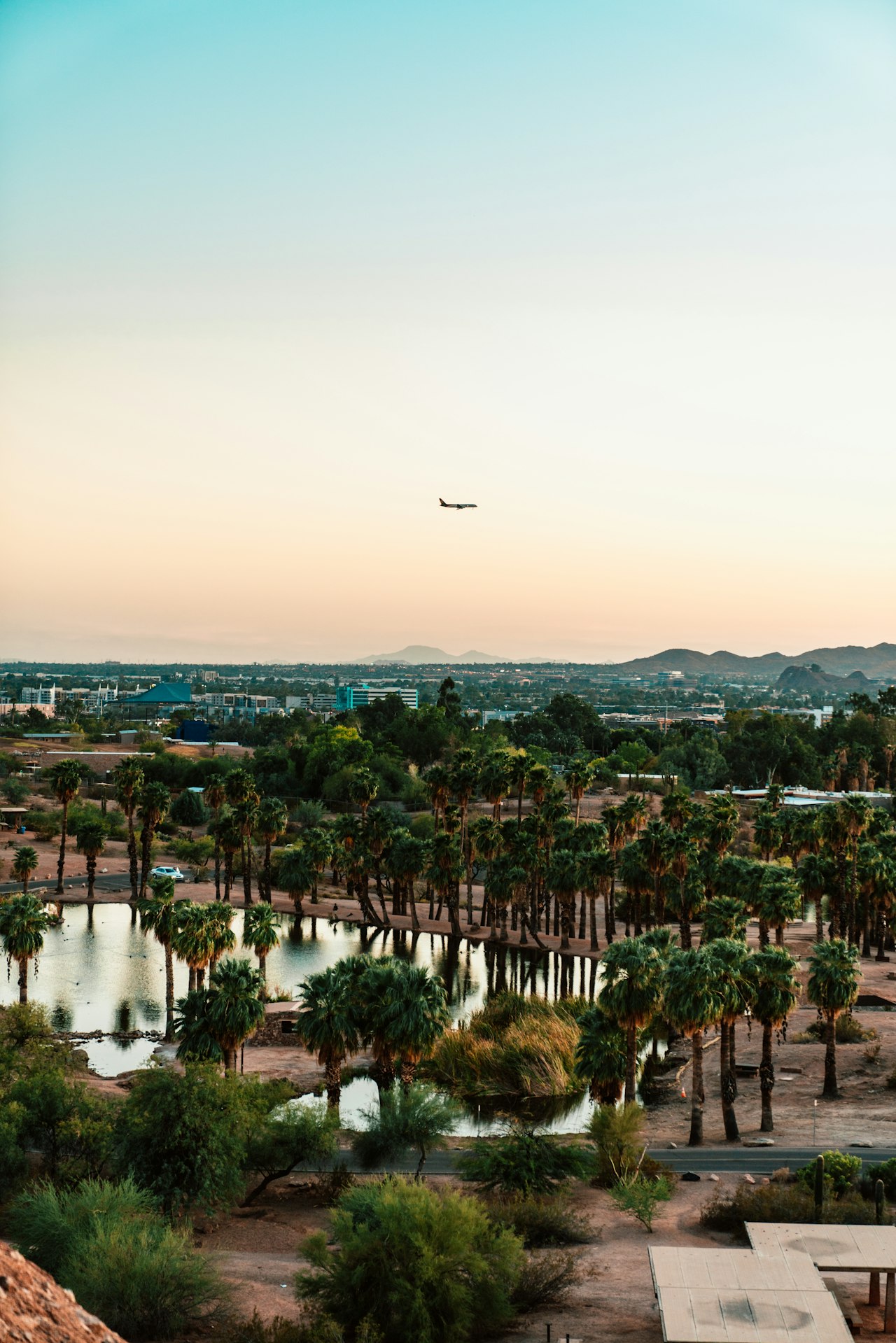 A view of a lake surrounded by palm trees and mountains