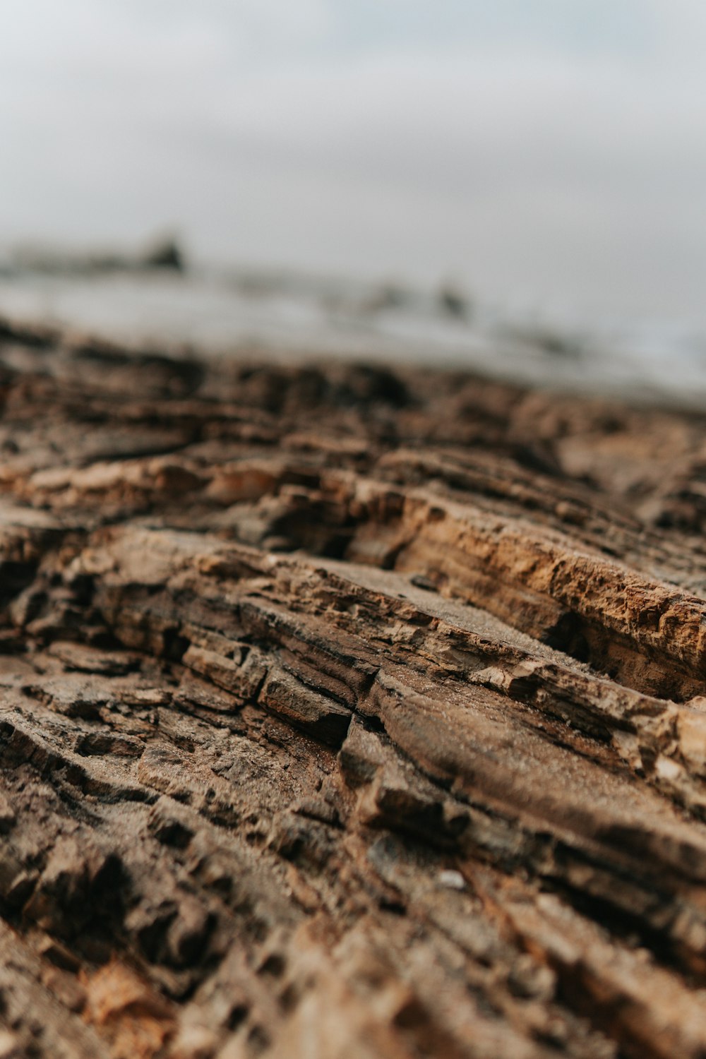 um close up de rochas em uma praia