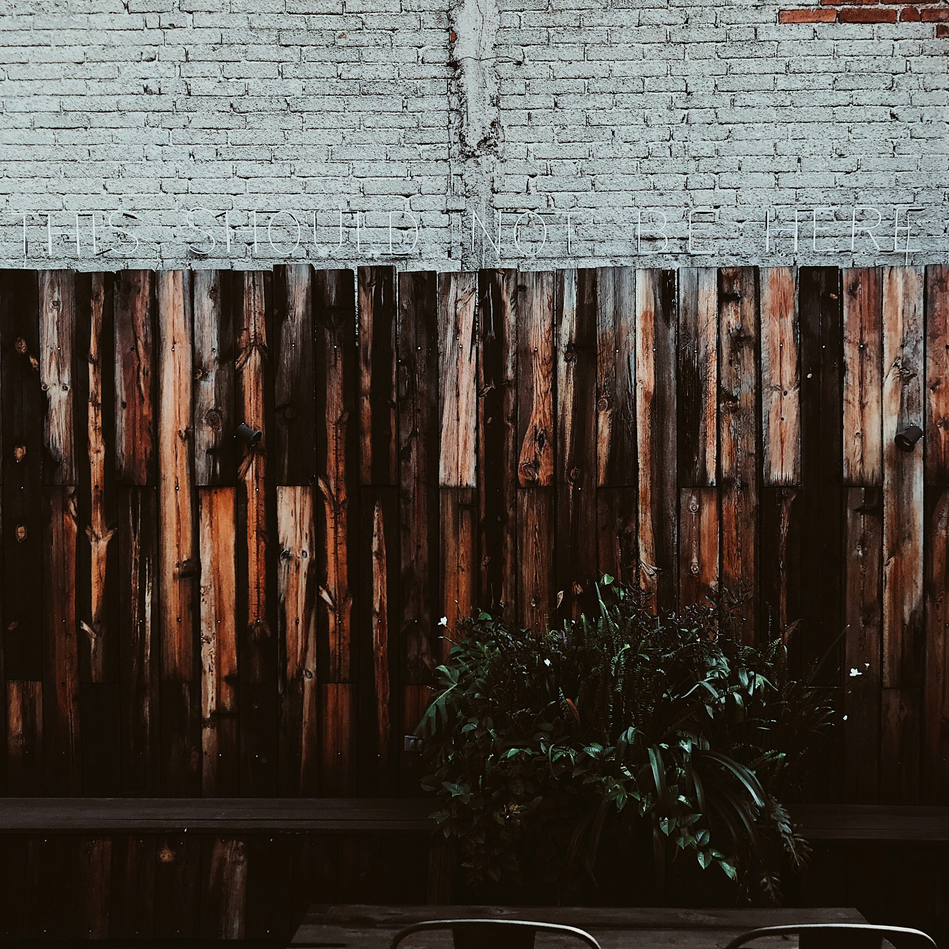 Photo by eduardocanophotoco