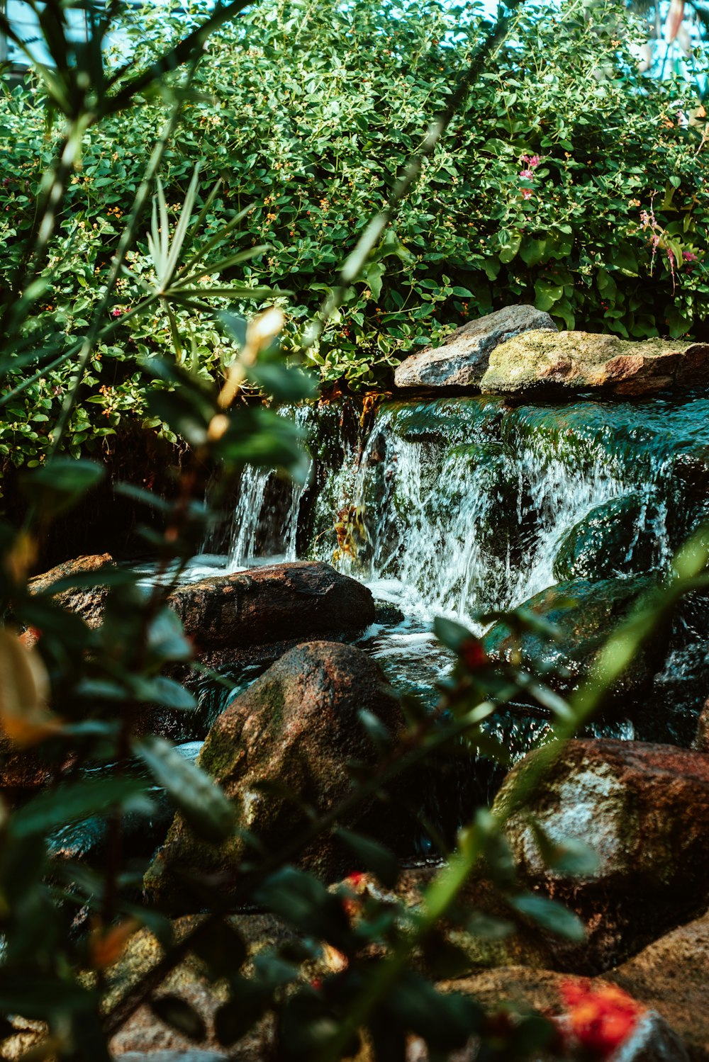 Plan d’eau entouré d’arbres pendant la journée