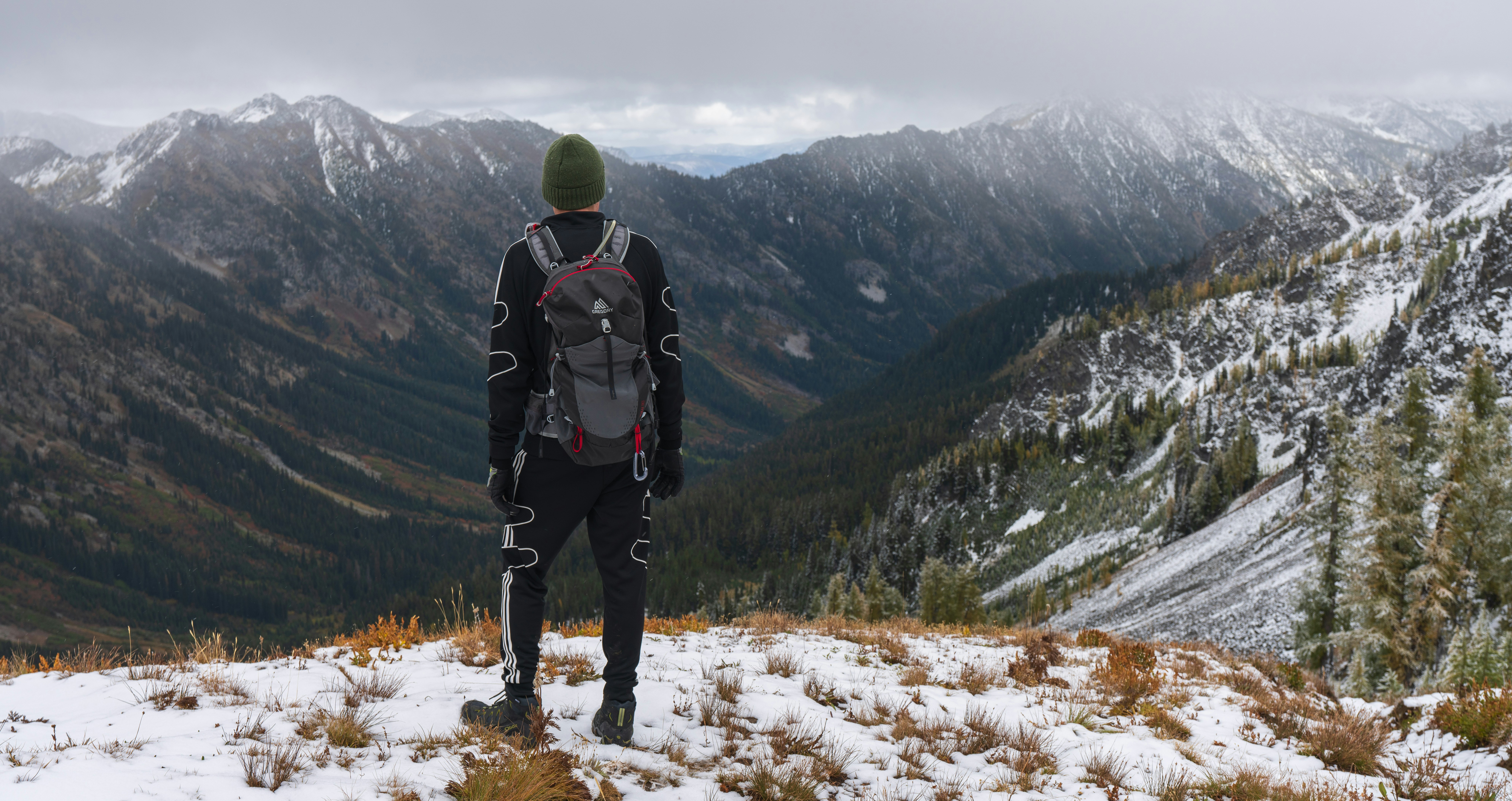 Carne Alla Pizzaiola Recipe