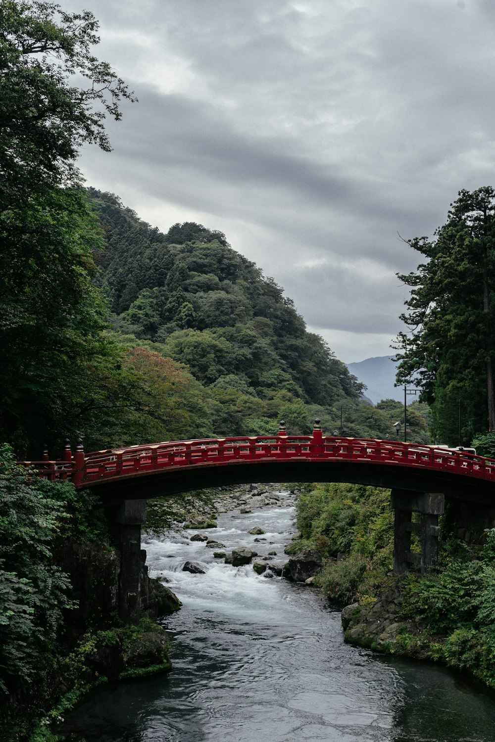 流れる小川に架かる黒と赤の橋の近くの緑の木