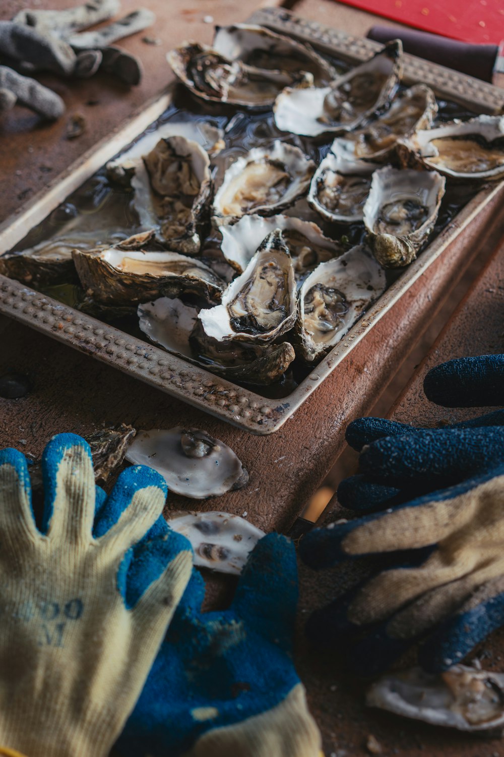 tray of oysters