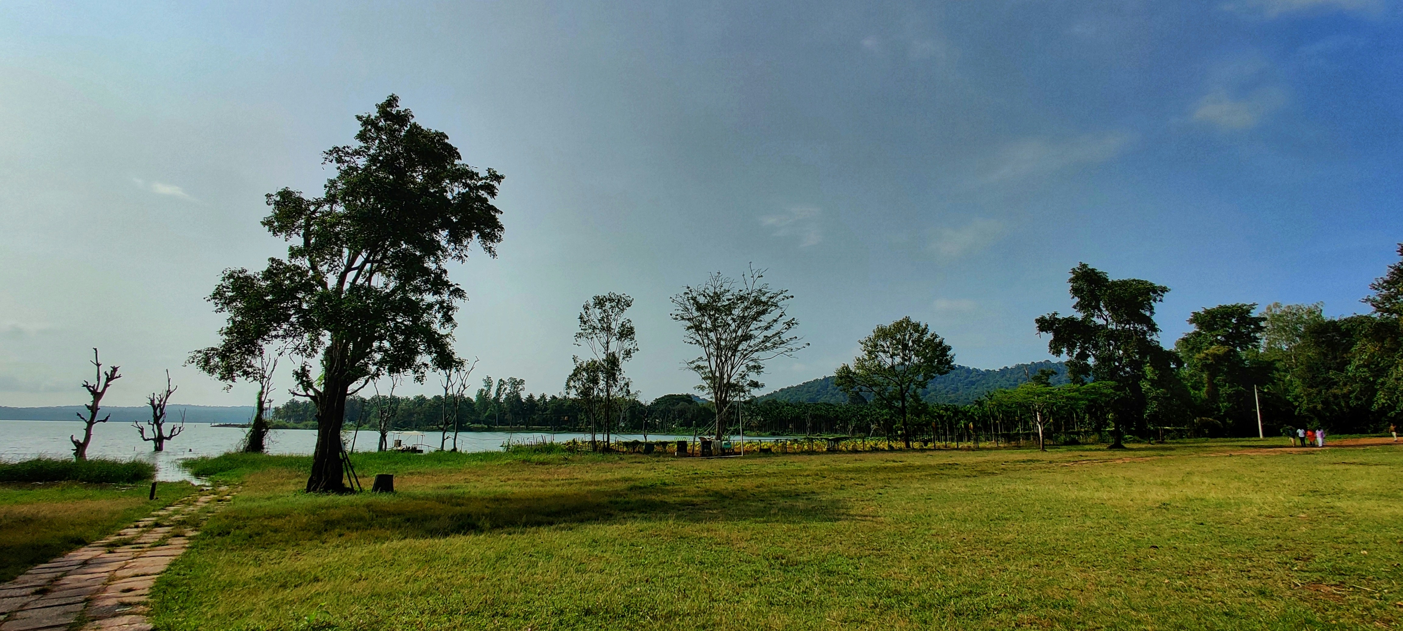 Photo by anaamadheya