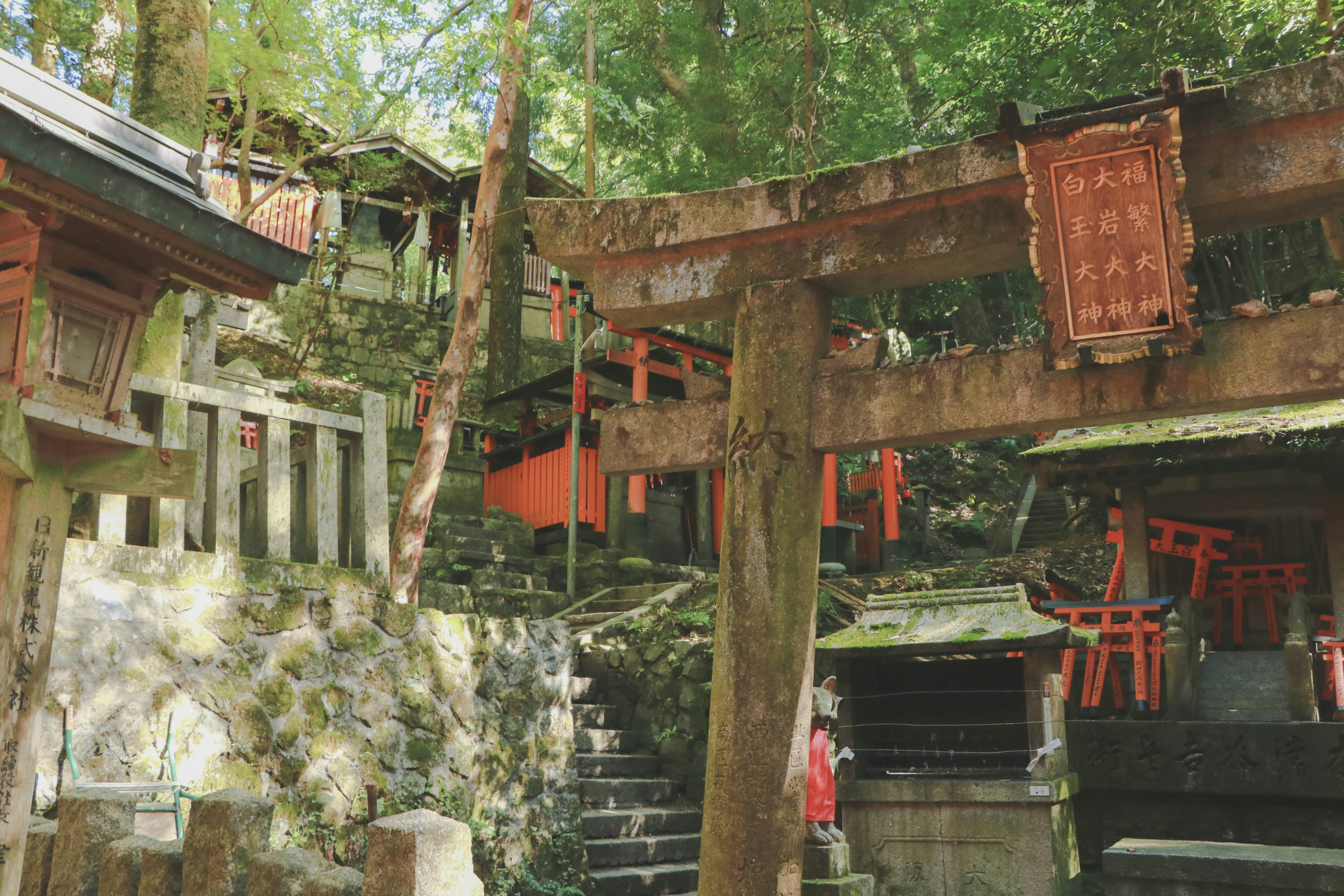 Photo by utakaha