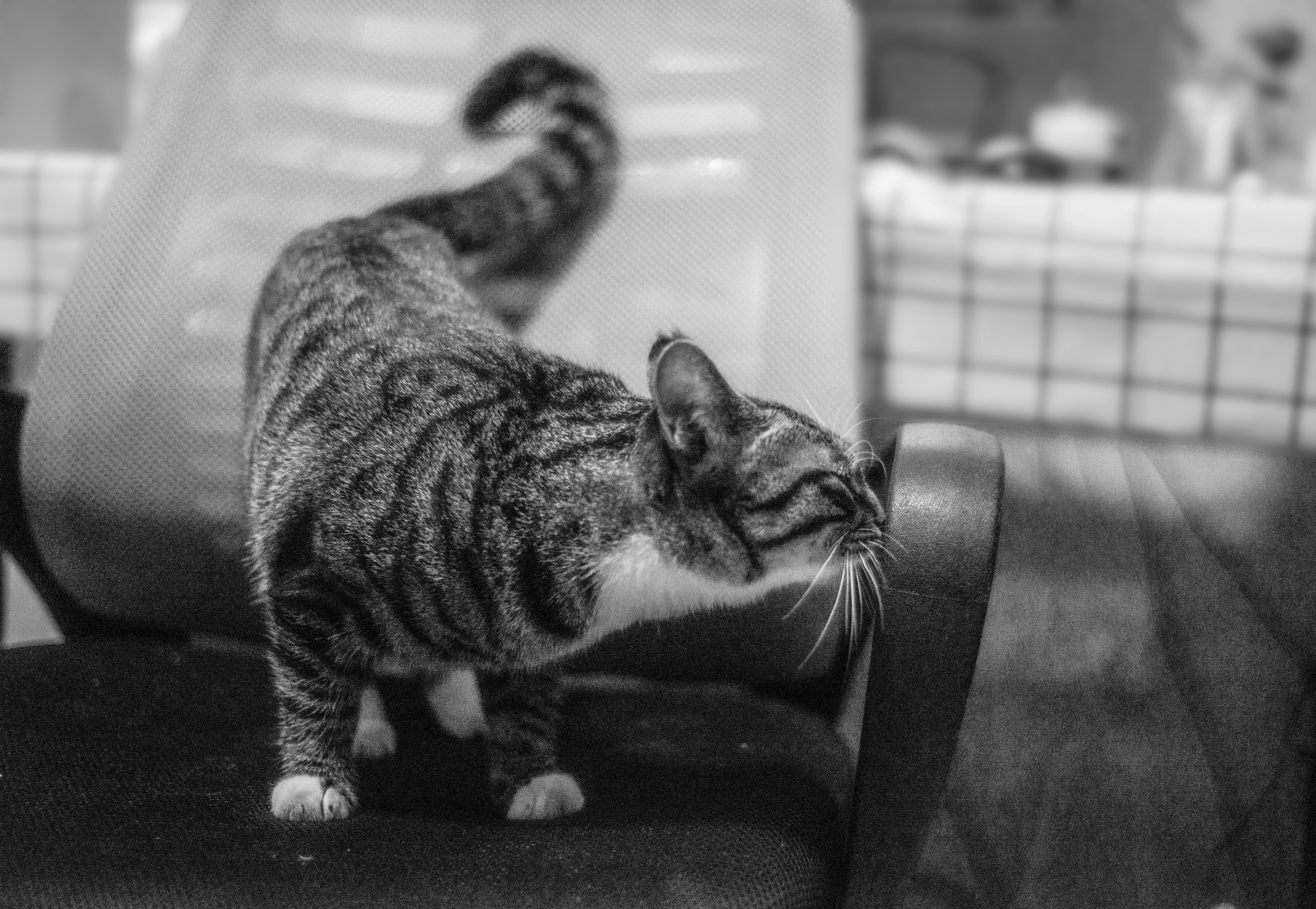 Photo by yooho962464