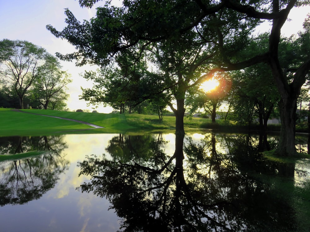 sun rays coming through green field and trees near body of water