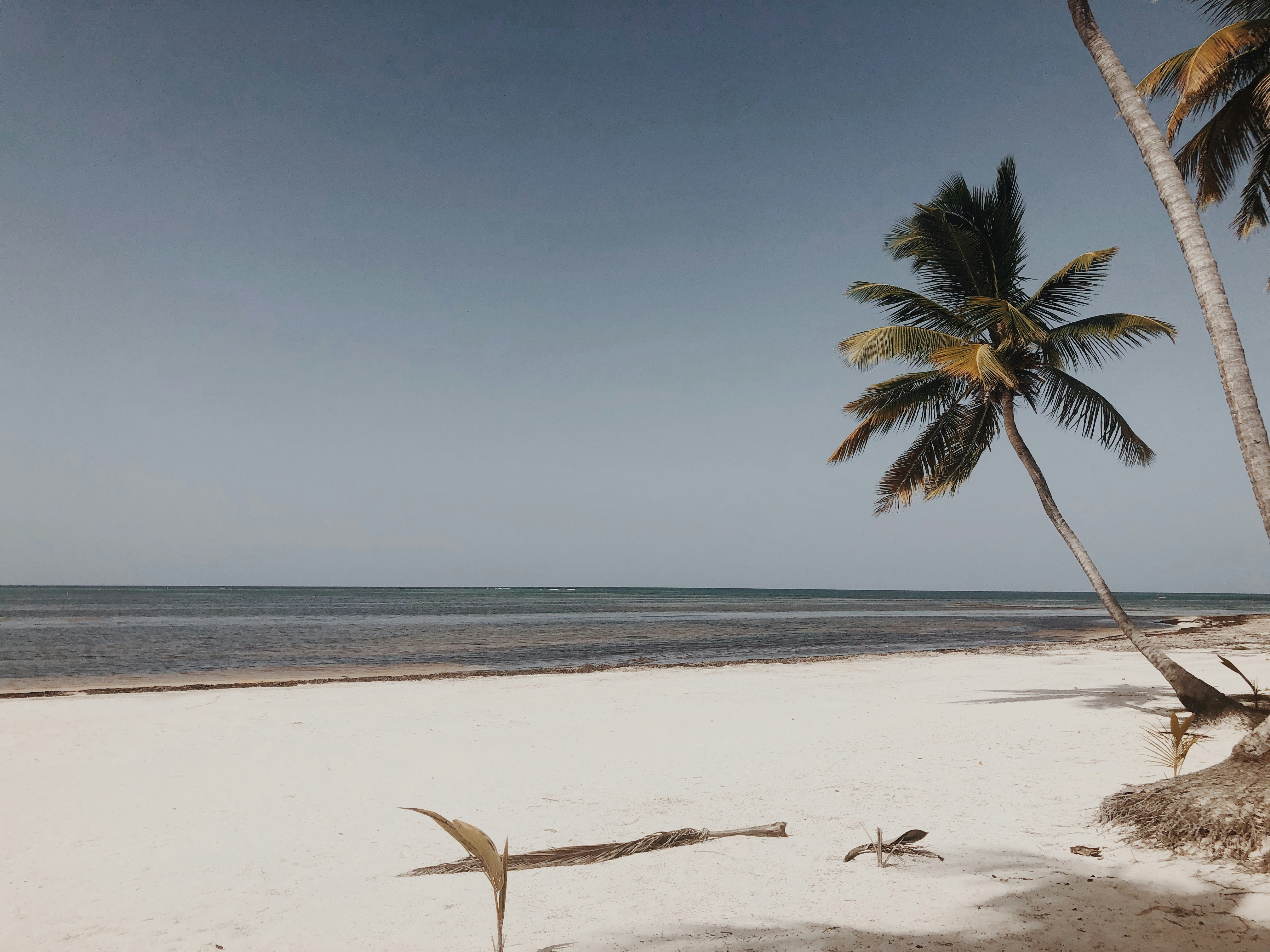 Photo by elvingraphicz