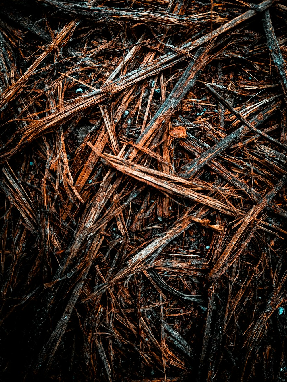 brown sticks
