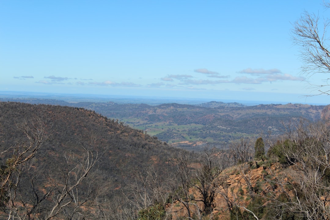 travelers stories about Hill in Coonabarabran NSW, Australia