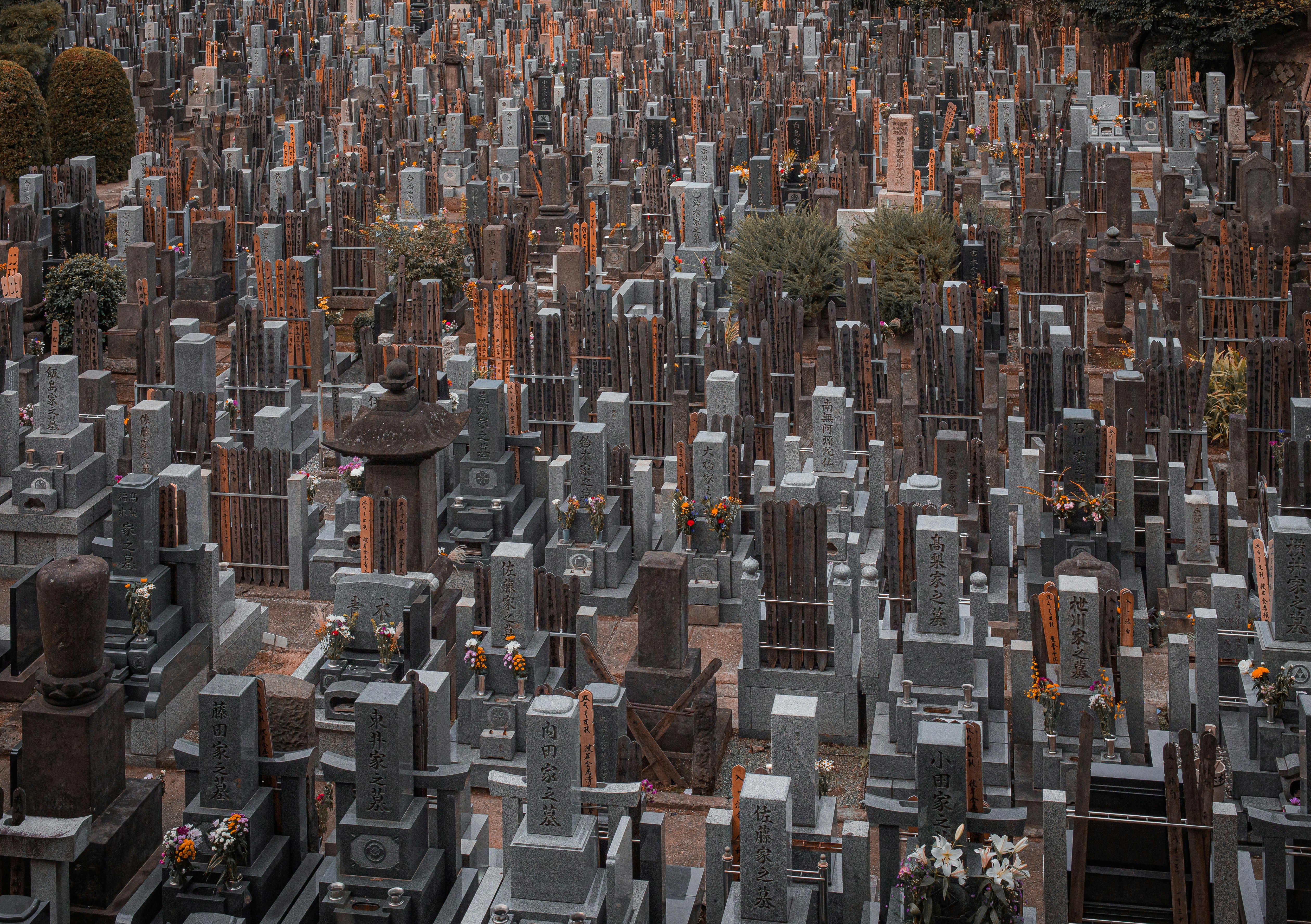 tombstones in cemetery