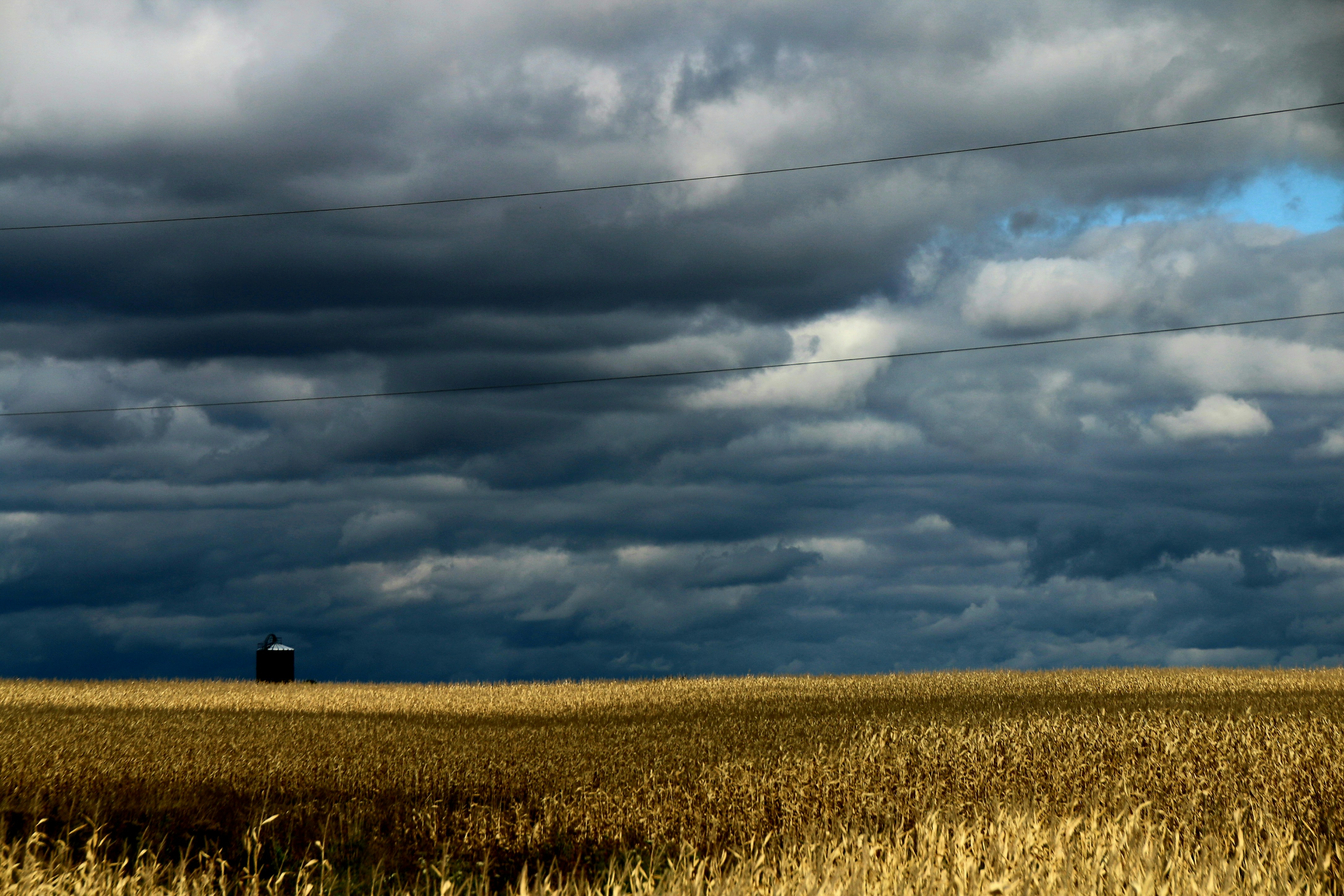 Photo by richardworks