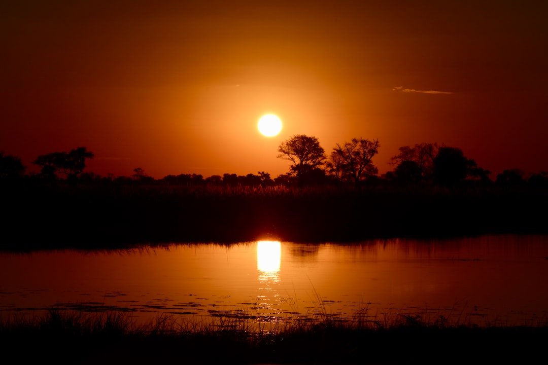 travelers stories about Ecoregion in Okavango Delta, Botswana