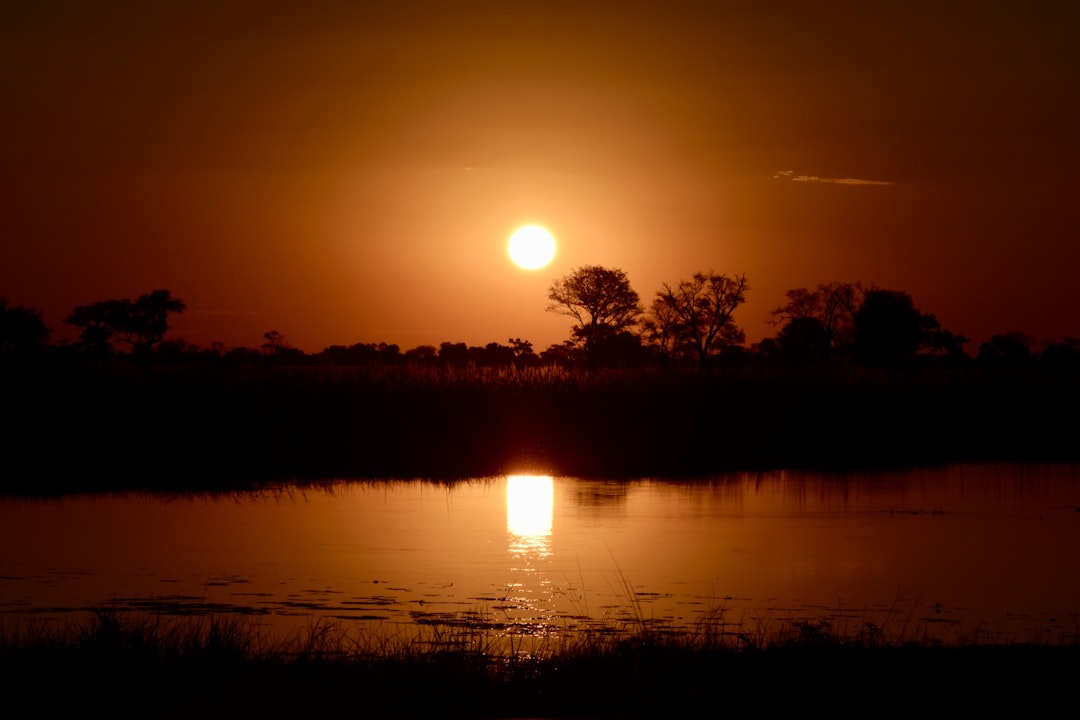 trees and body of water during golden hour, Sunset in Okavango